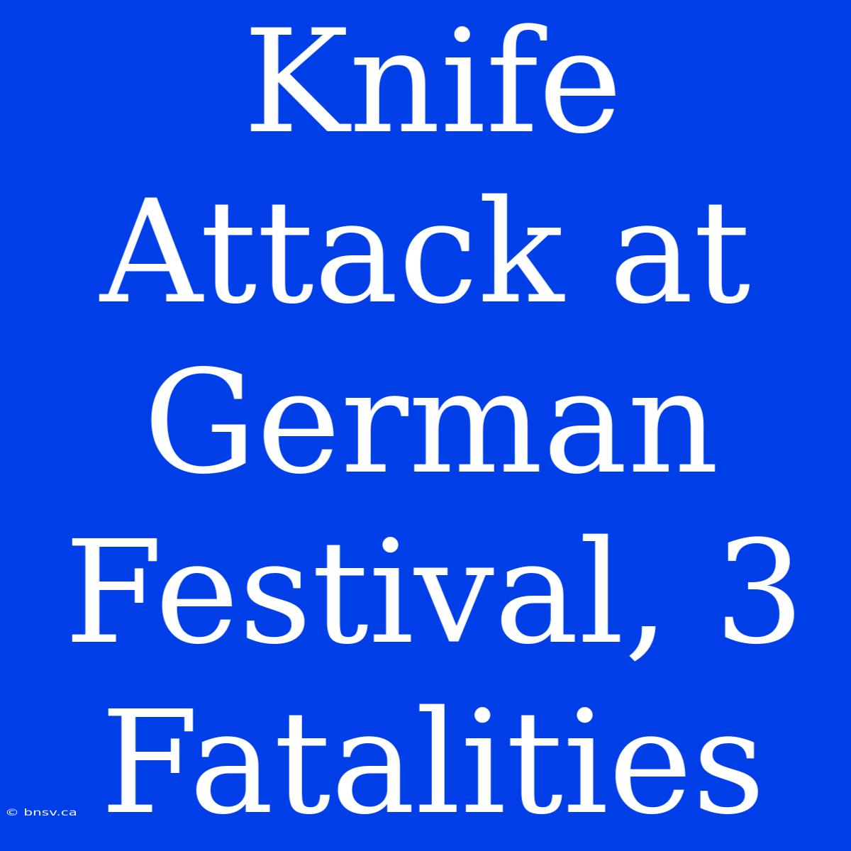 Knife Attack At German Festival, 3 Fatalities