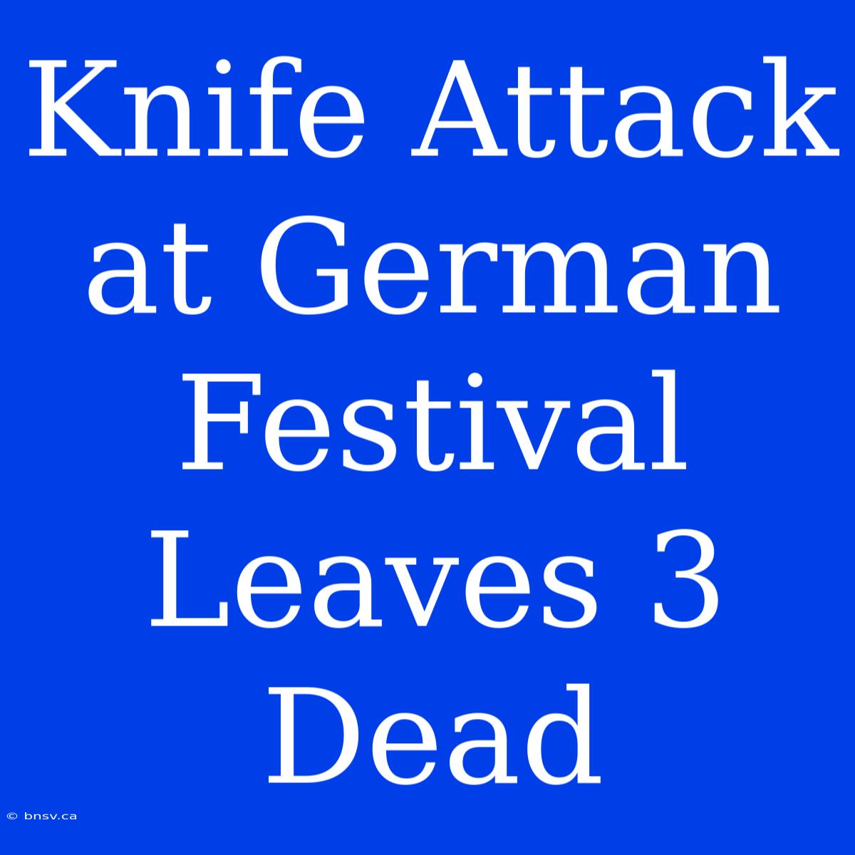 Knife Attack At German Festival Leaves 3 Dead