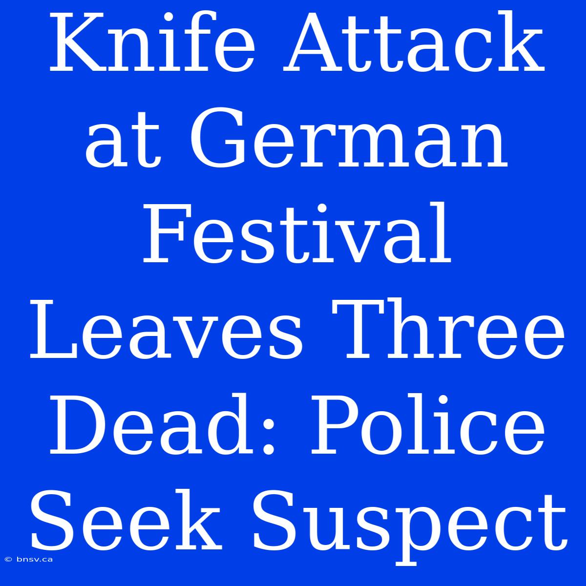 Knife Attack At German Festival Leaves Three Dead: Police Seek Suspect