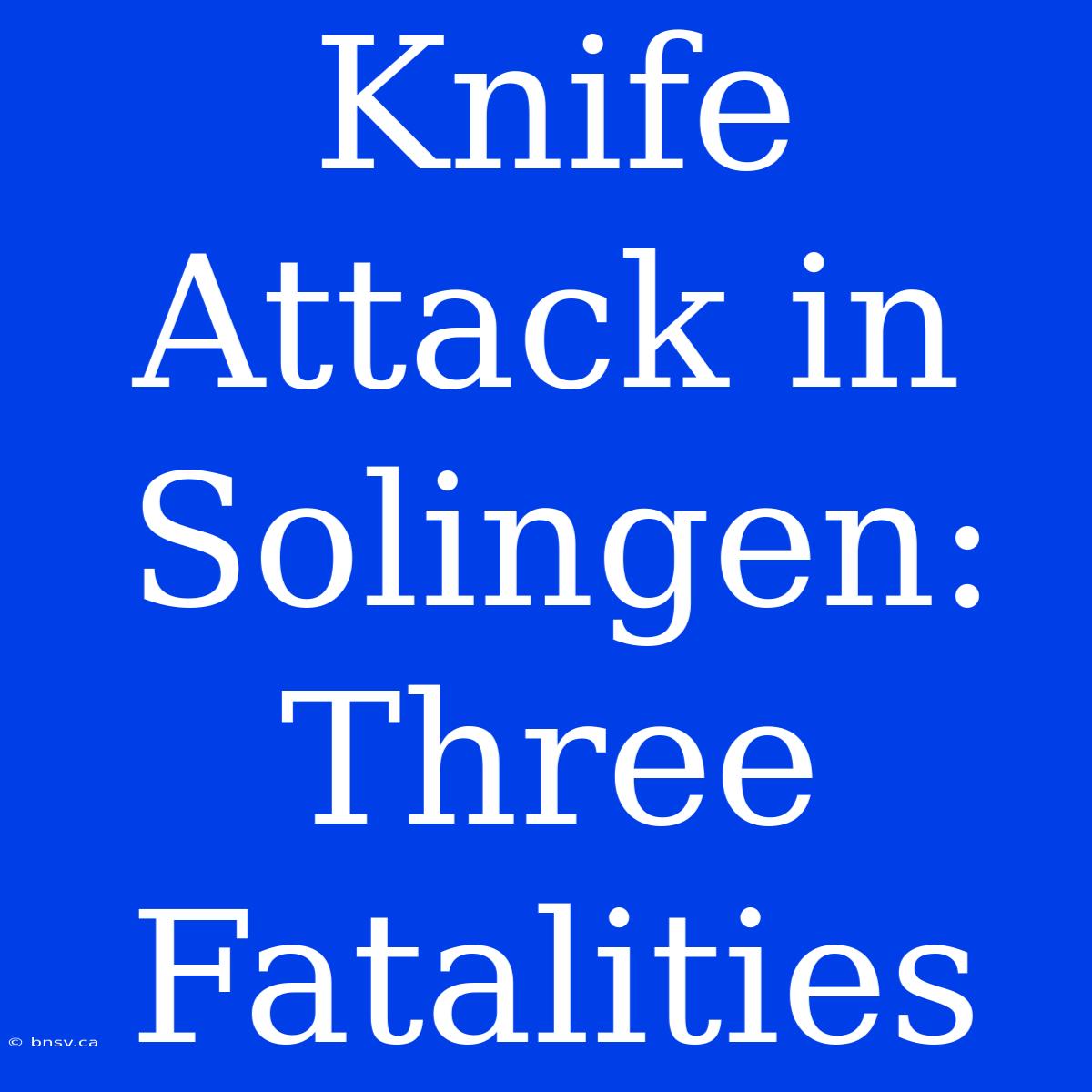 Knife Attack In Solingen: Three Fatalities