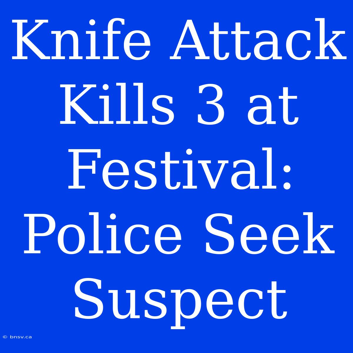 Knife Attack Kills 3 At Festival: Police Seek Suspect