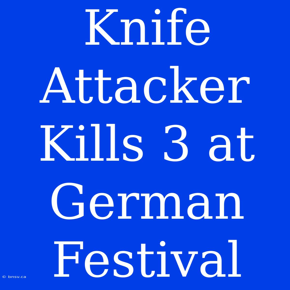 Knife Attacker Kills 3 At German Festival