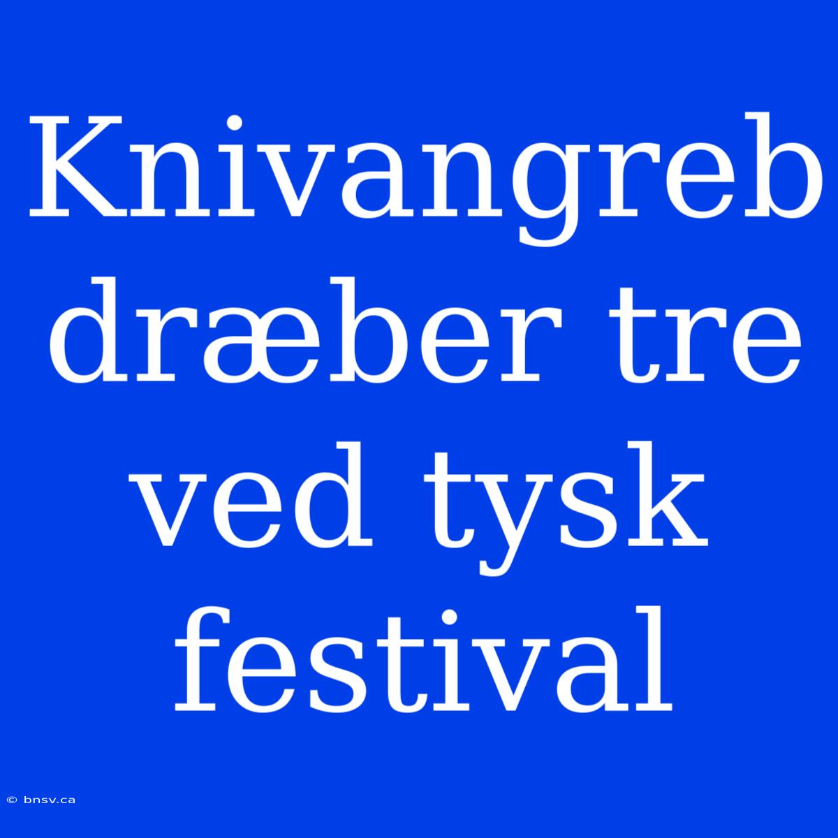 Knivangreb Dræber Tre Ved Tysk Festival