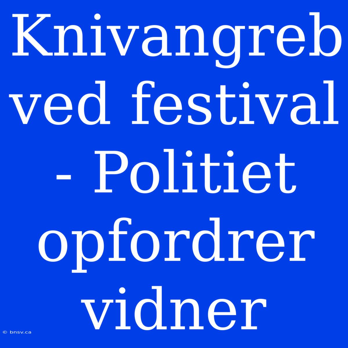 Knivangreb Ved Festival - Politiet Opfordrer Vidner