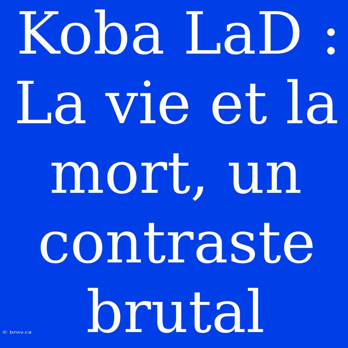 Koba LaD : La Vie Et La Mort, Un Contraste Brutal