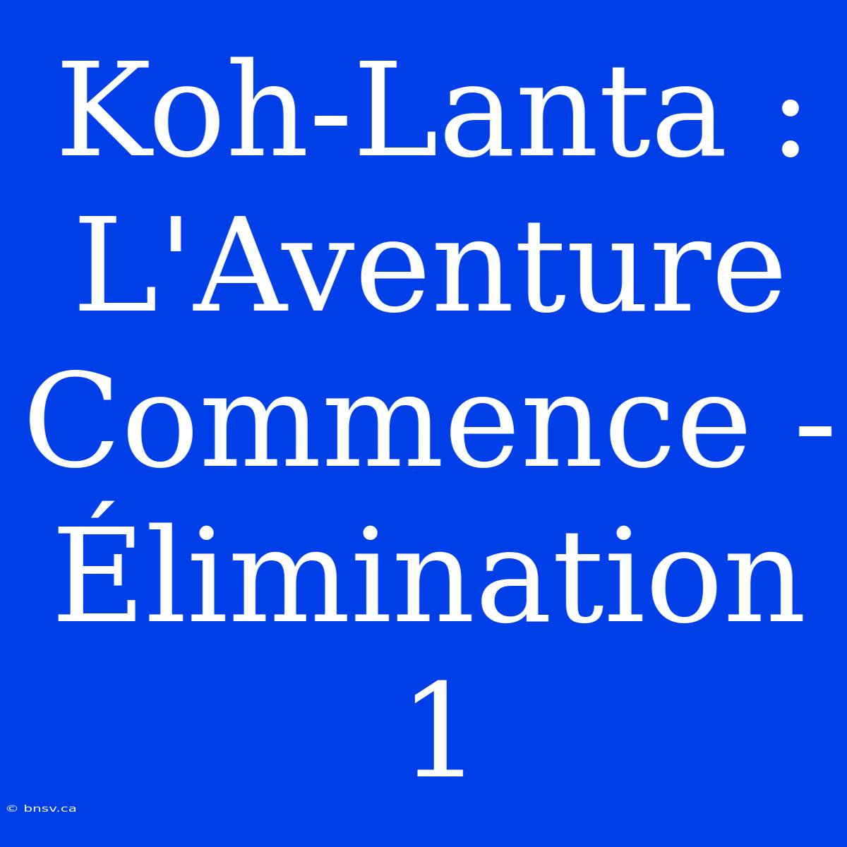 Koh-Lanta : L'Aventure Commence - Élimination 1