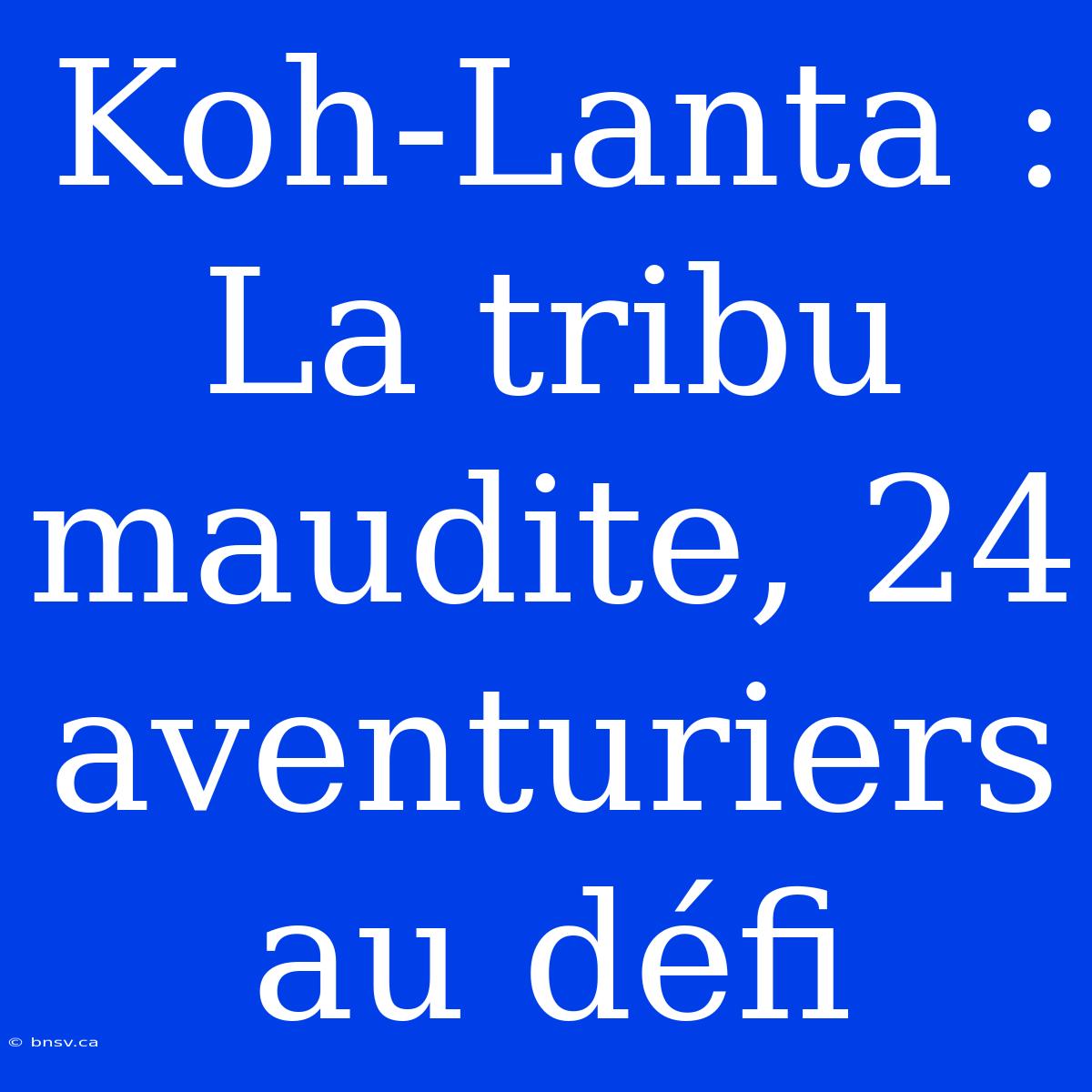 Koh-Lanta : La Tribu Maudite, 24 Aventuriers Au Défi