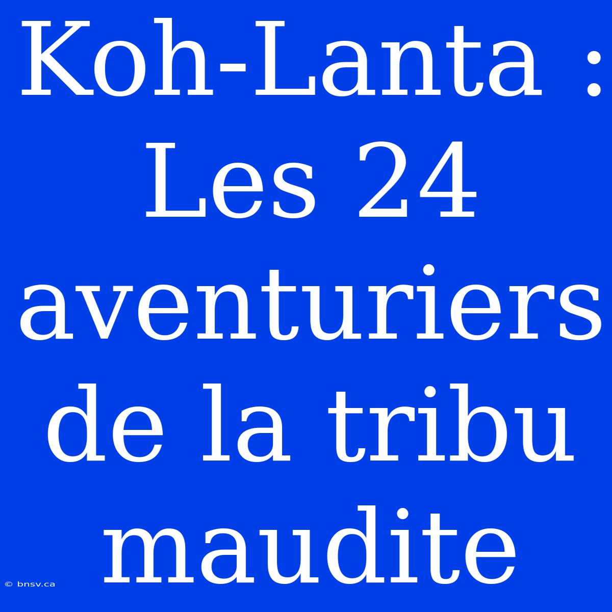 Koh-Lanta : Les 24 Aventuriers De La Tribu Maudite