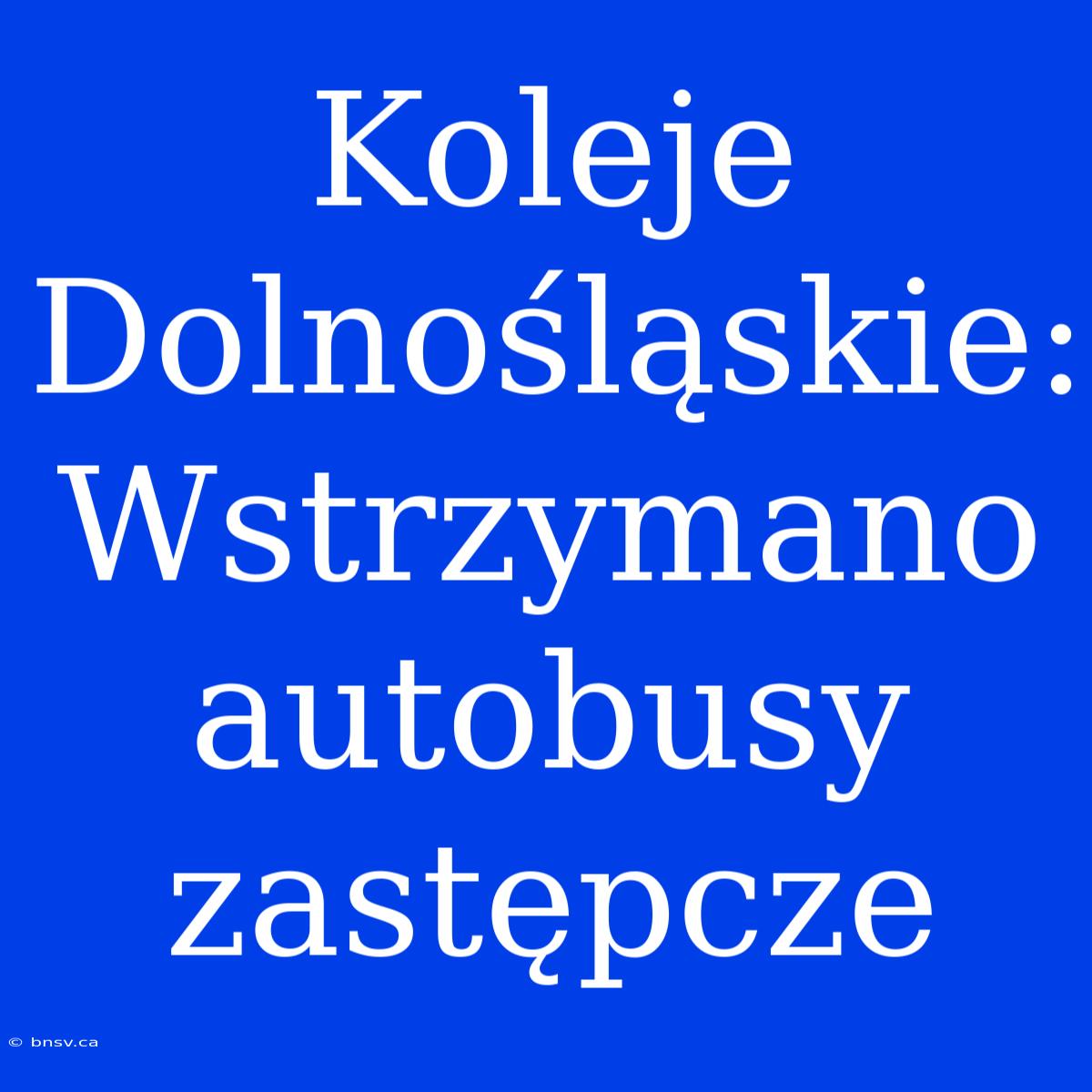 Koleje Dolnośląskie: Wstrzymano Autobusy Zastępcze