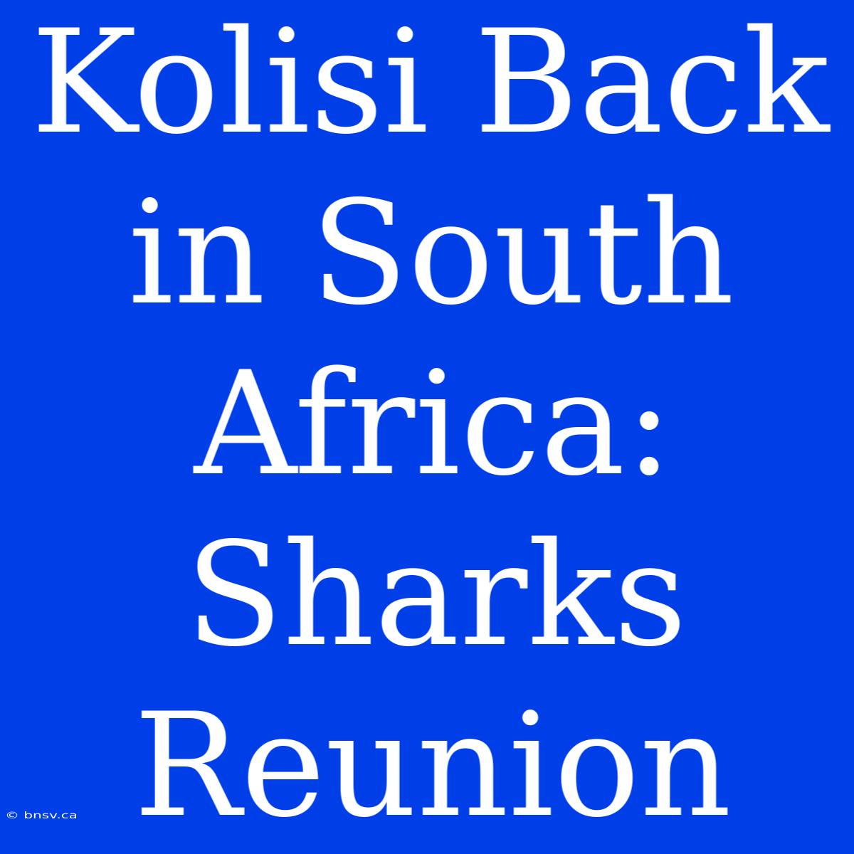 Kolisi Back In South Africa: Sharks Reunion