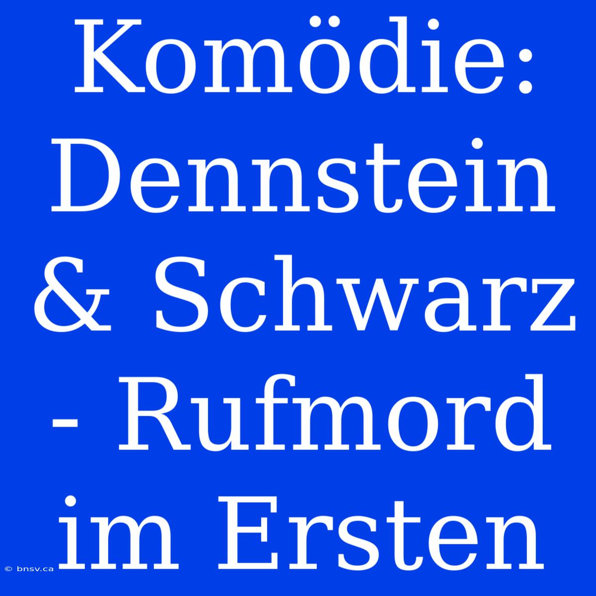 Komödie: Dennstein & Schwarz - Rufmord Im Ersten