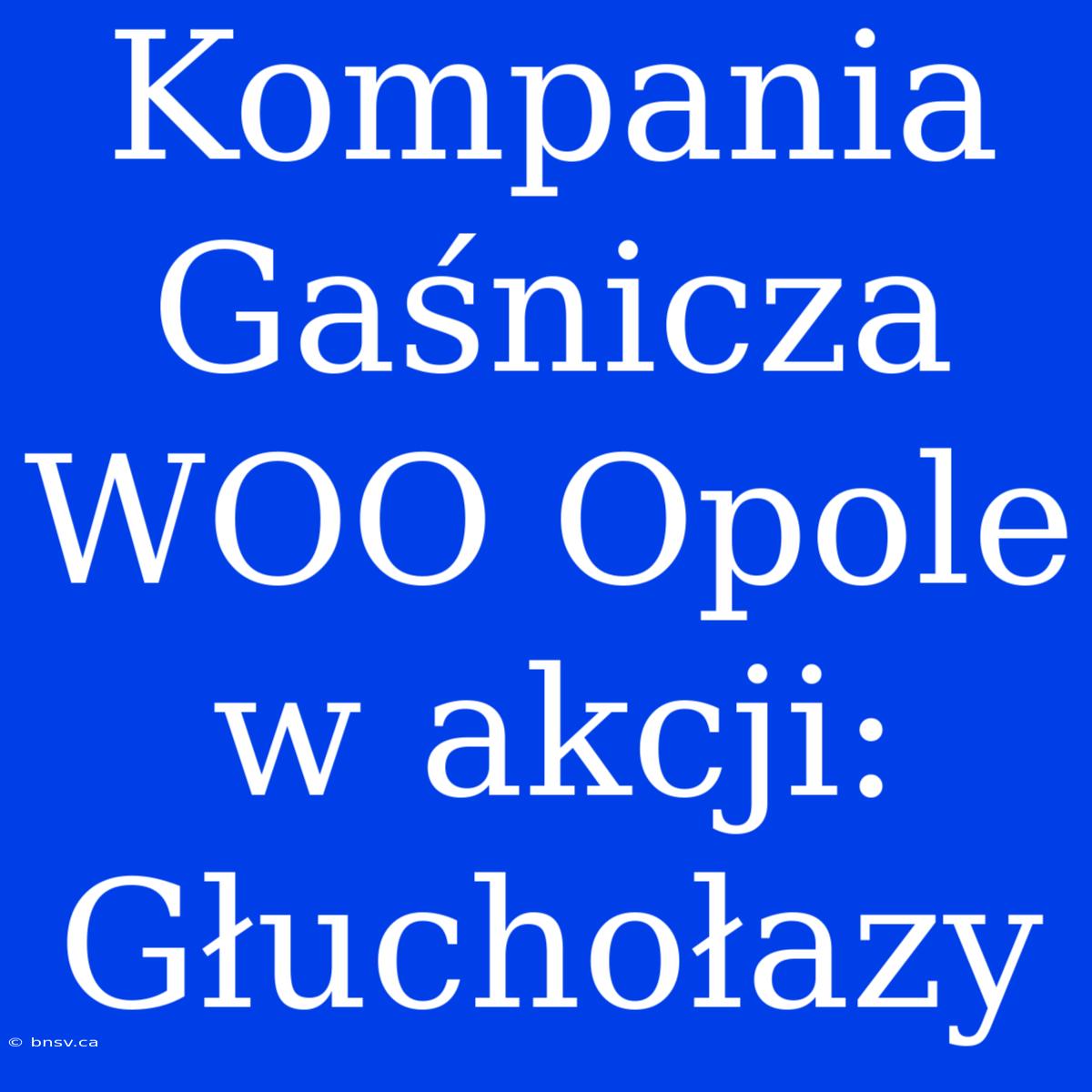 Kompania Gaśnicza WOO Opole W Akcji: Głuchołazy