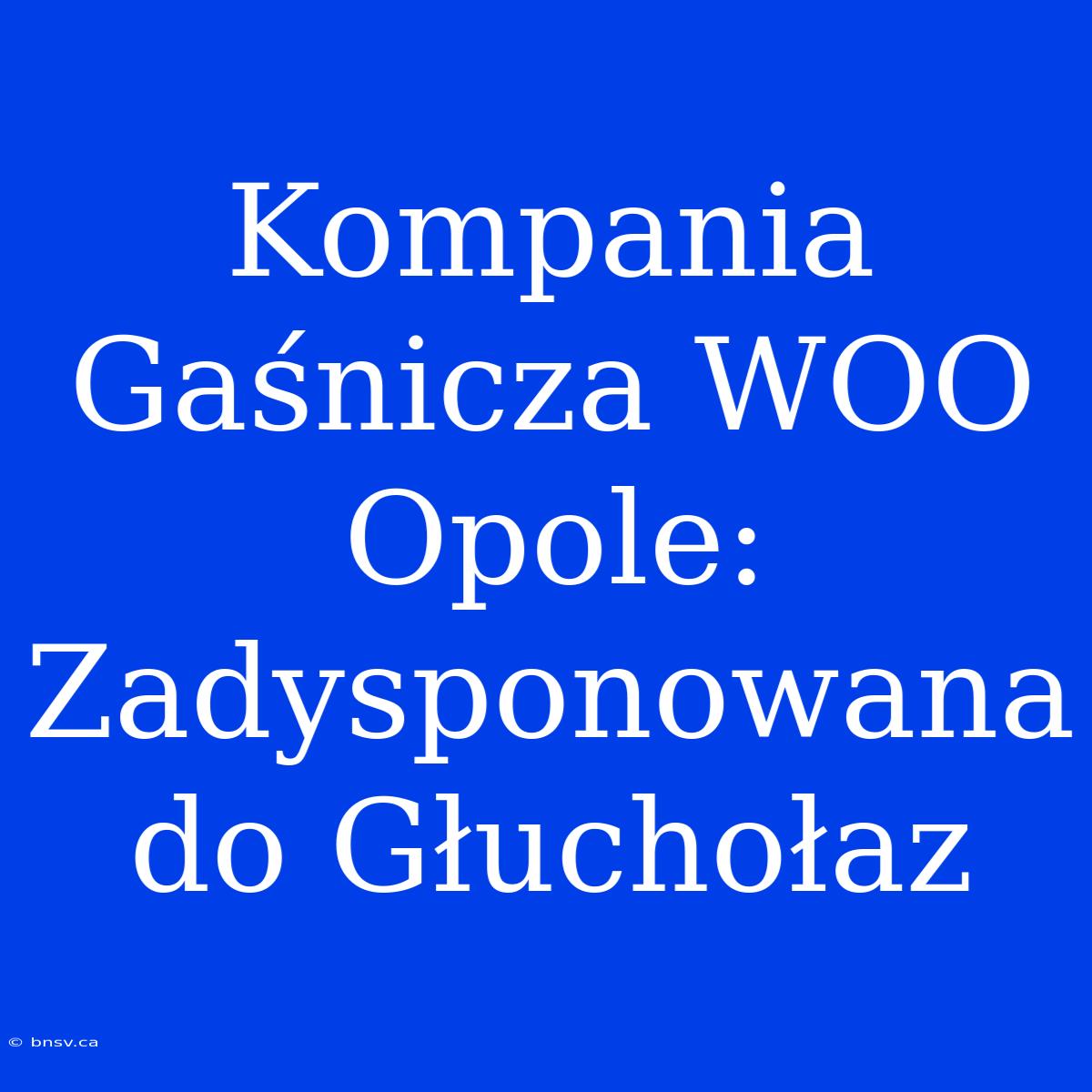 Kompania Gaśnicza WOO Opole: Zadysponowana Do Głuchołaz