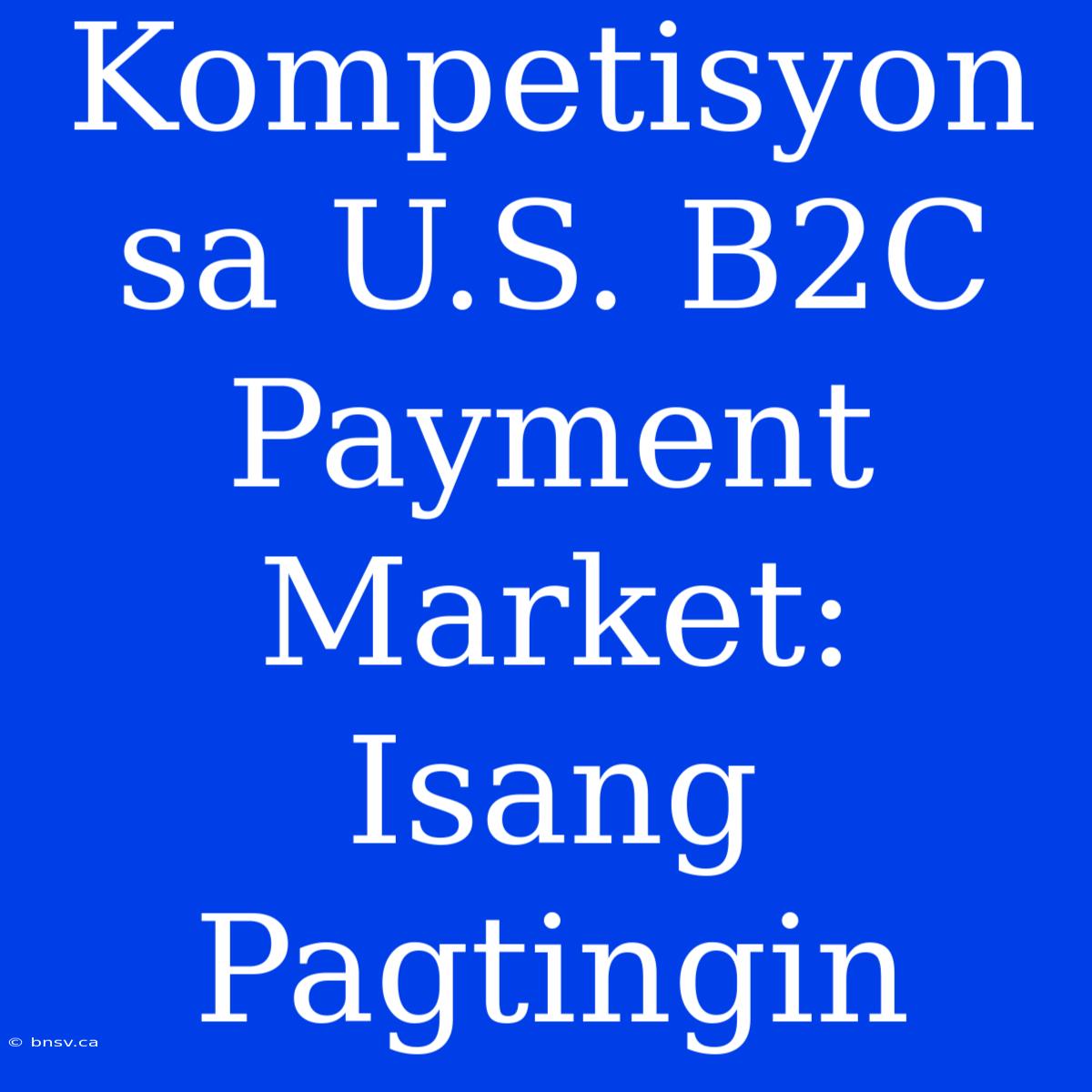 Kompetisyon Sa U.S. B2C Payment Market: Isang Pagtingin