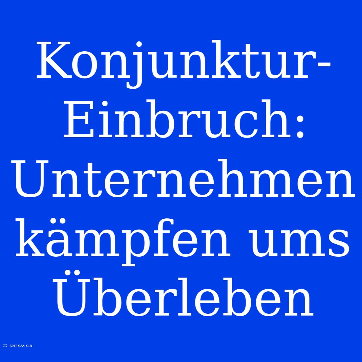 Konjunktur-Einbruch: Unternehmen Kämpfen Ums Überleben