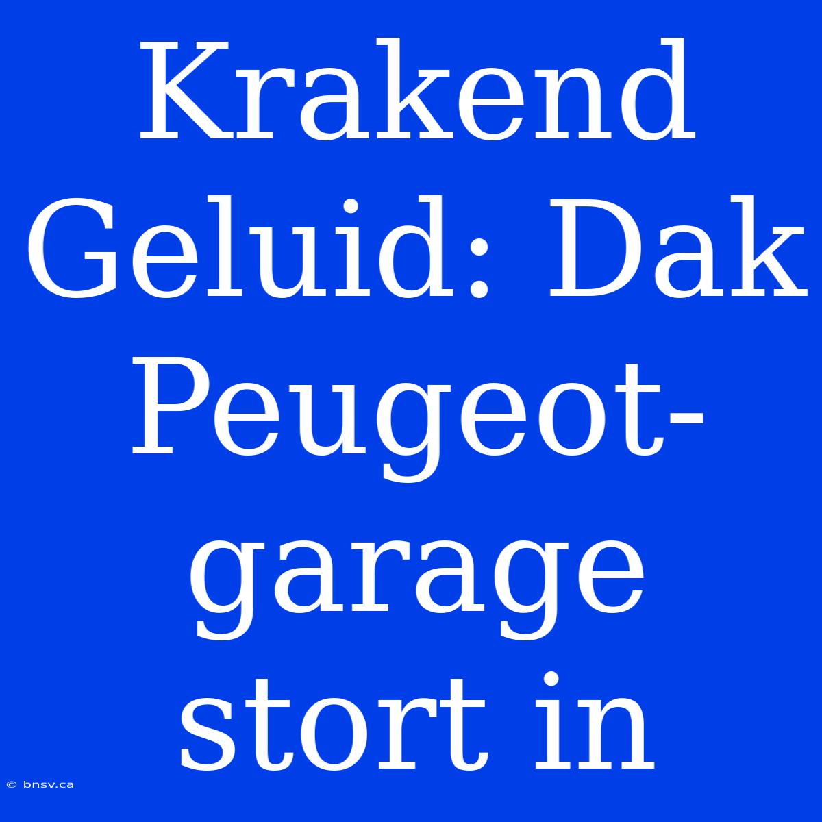 Krakend Geluid: Dak Peugeot-garage Stort In