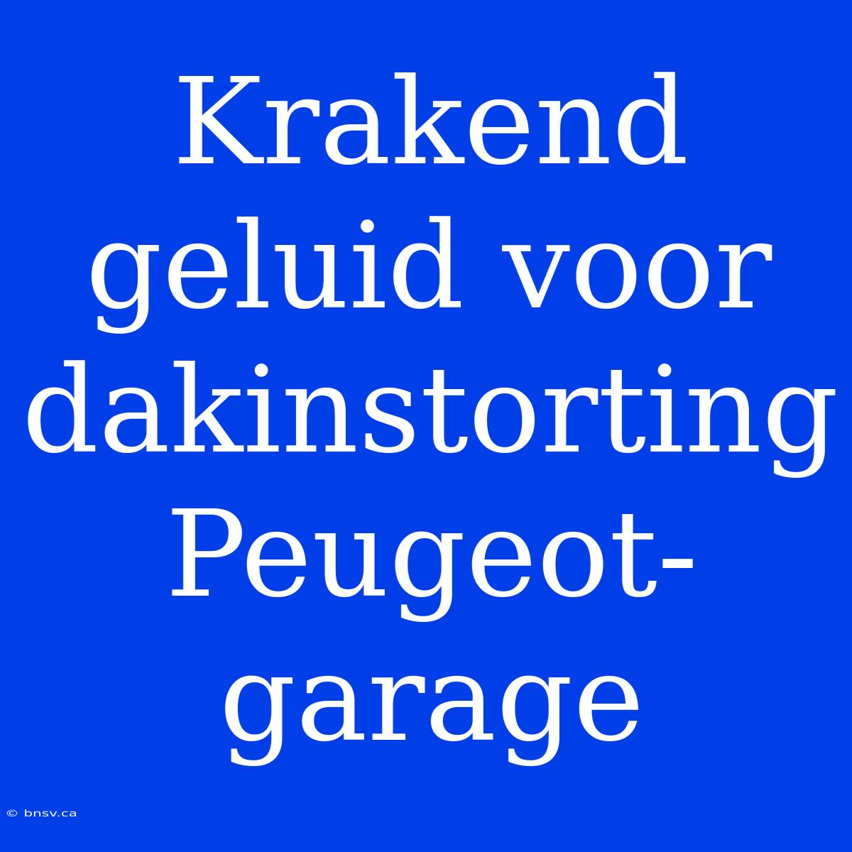 Krakend Geluid Voor Dakinstorting Peugeot-garage