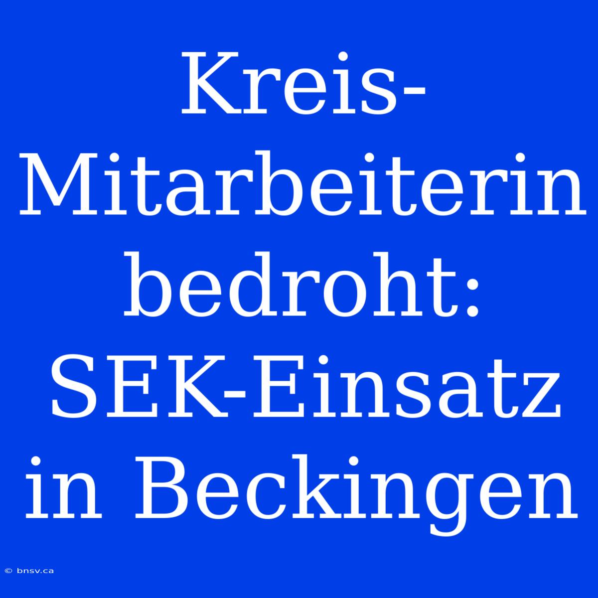 Kreis-Mitarbeiterin Bedroht: SEK-Einsatz In Beckingen