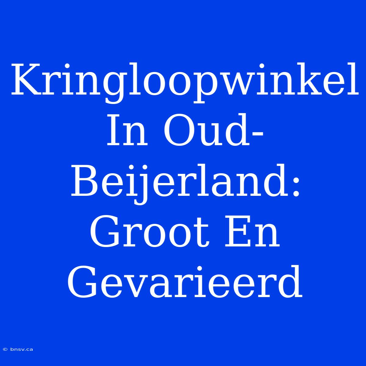 Kringloopwinkel In Oud-Beijerland: Groot En Gevarieerd