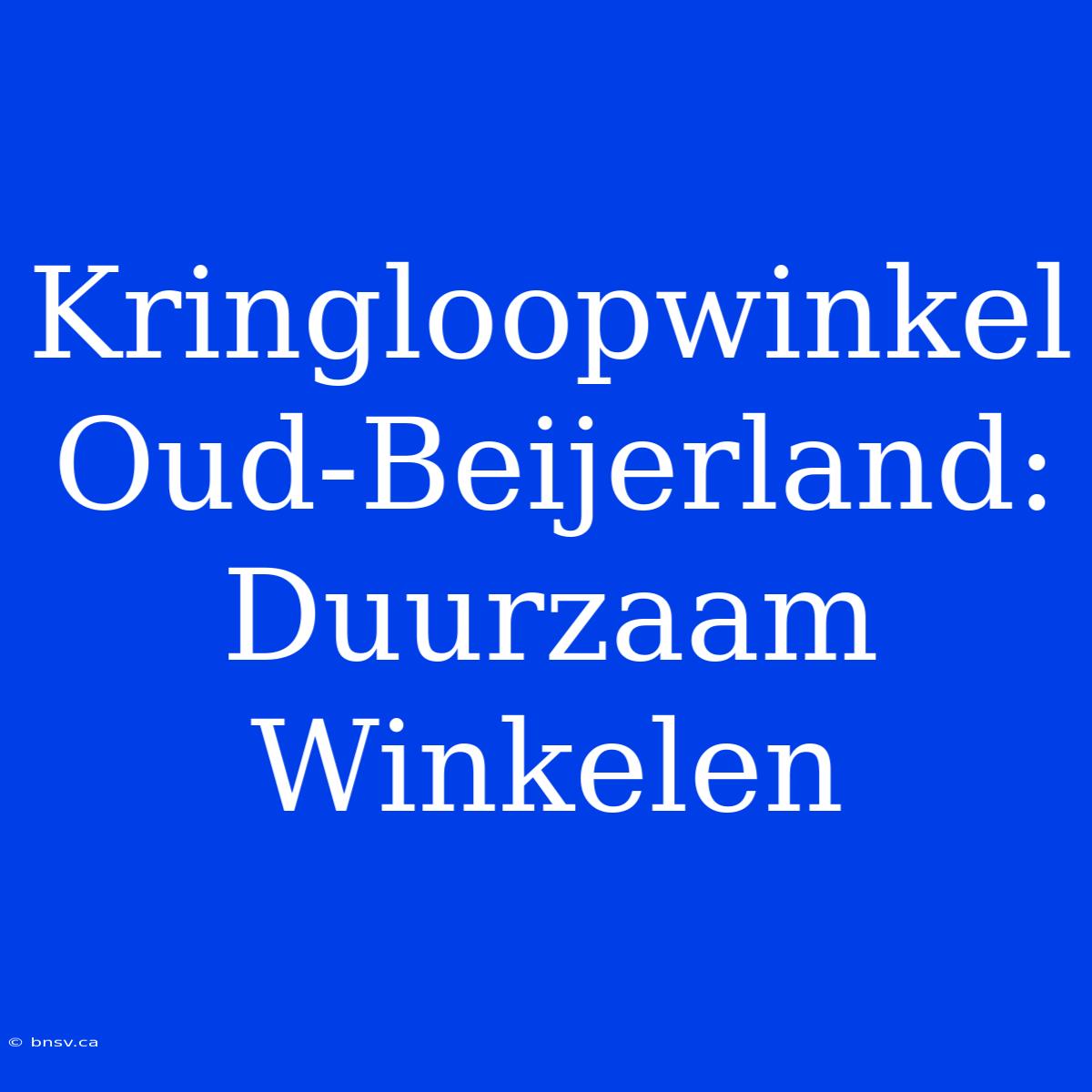 Kringloopwinkel Oud-Beijerland: Duurzaam Winkelen