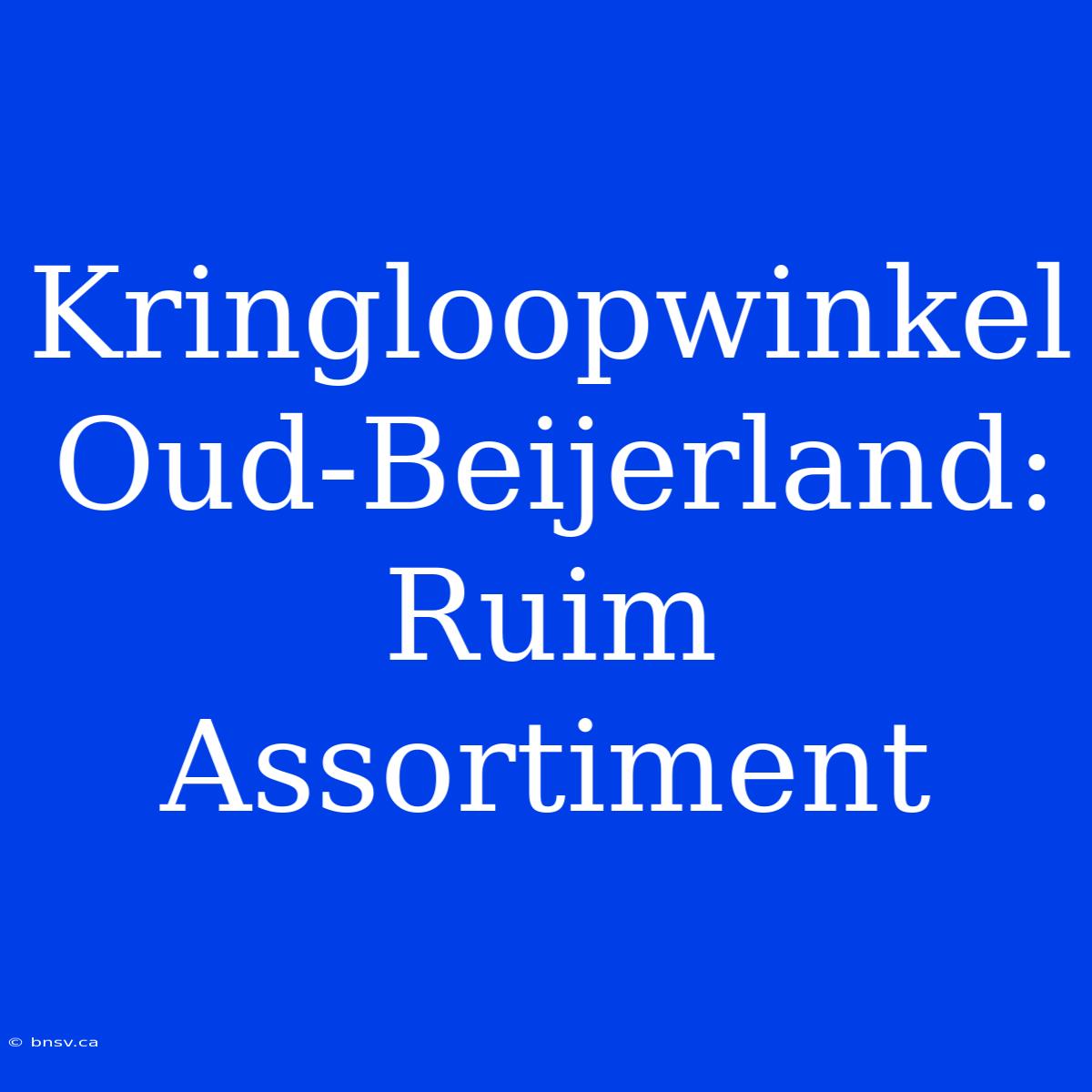 Kringloopwinkel Oud-Beijerland: Ruim Assortiment