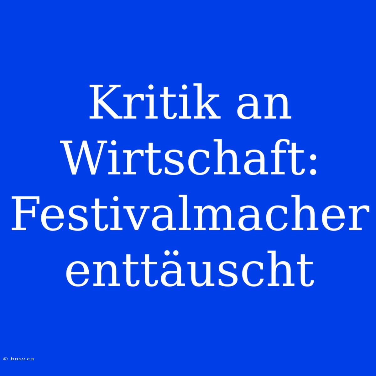 Kritik An Wirtschaft: Festivalmacher Enttäuscht