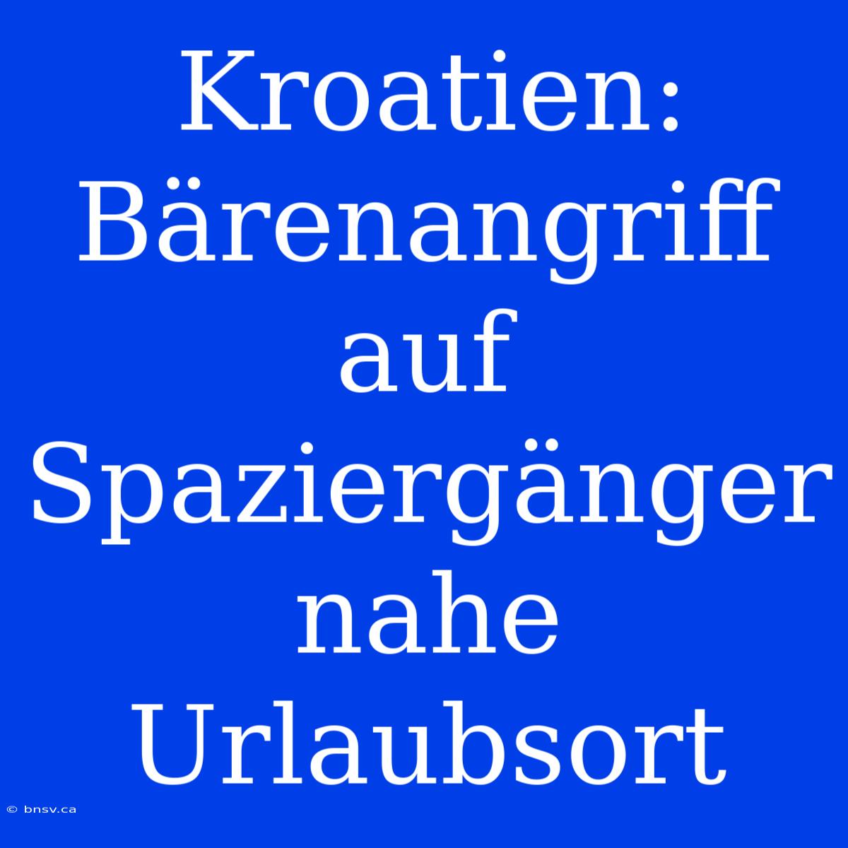 Kroatien: Bärenangriff Auf Spaziergänger Nahe Urlaubsort