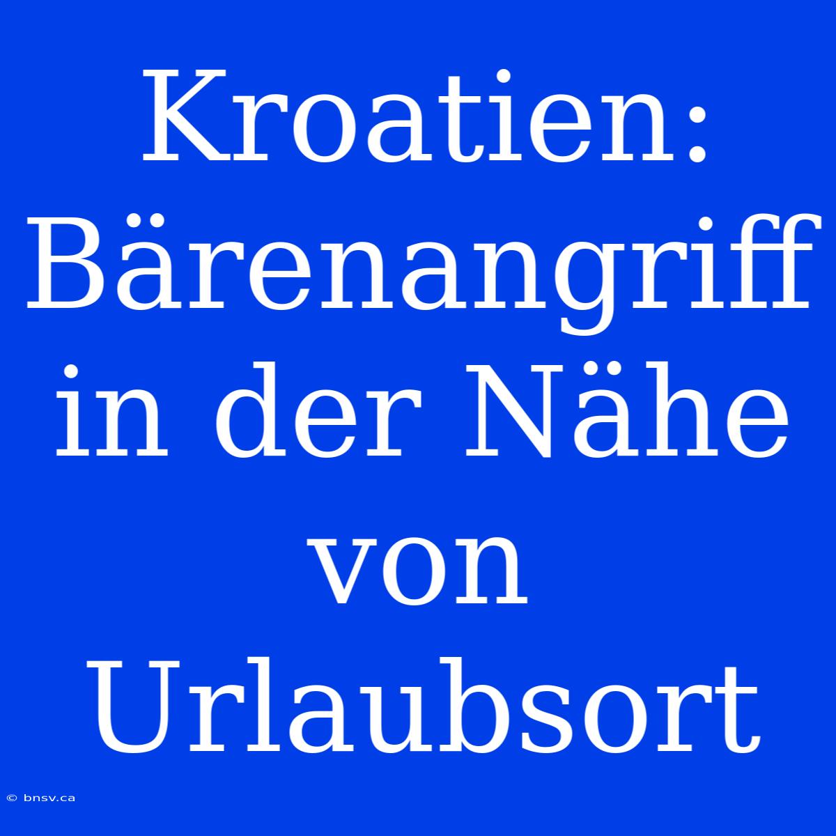 Kroatien: Bärenangriff In Der Nähe Von Urlaubsort