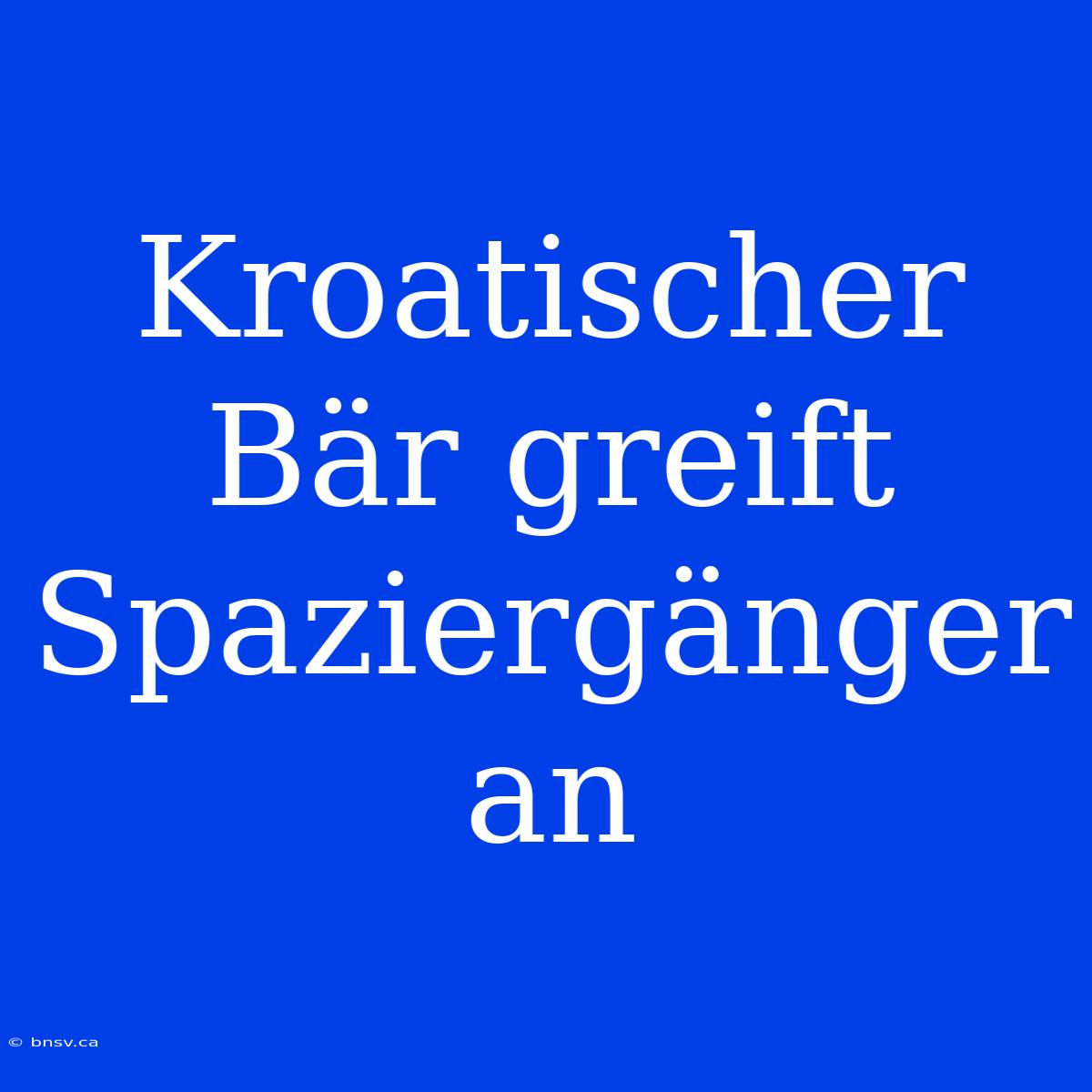 Kroatischer Bär Greift Spaziergänger An