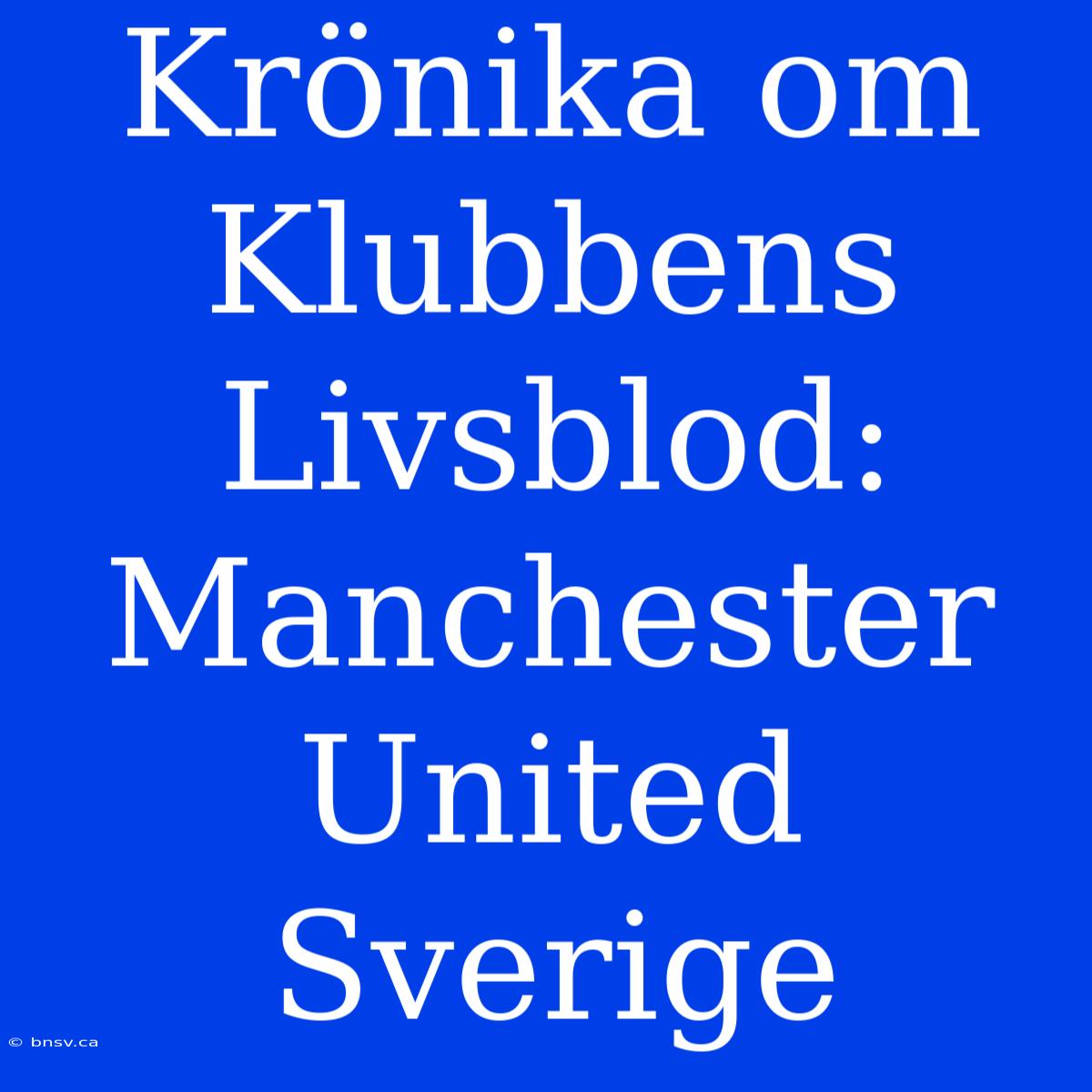 Krönika Om Klubbens Livsblod: Manchester United Sverige