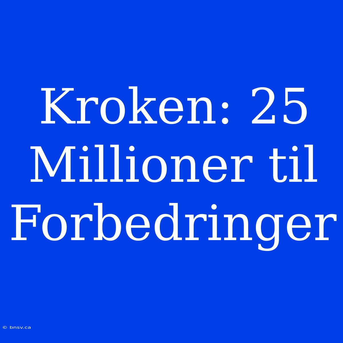 Kroken: 25 Millioner Til Forbedringer