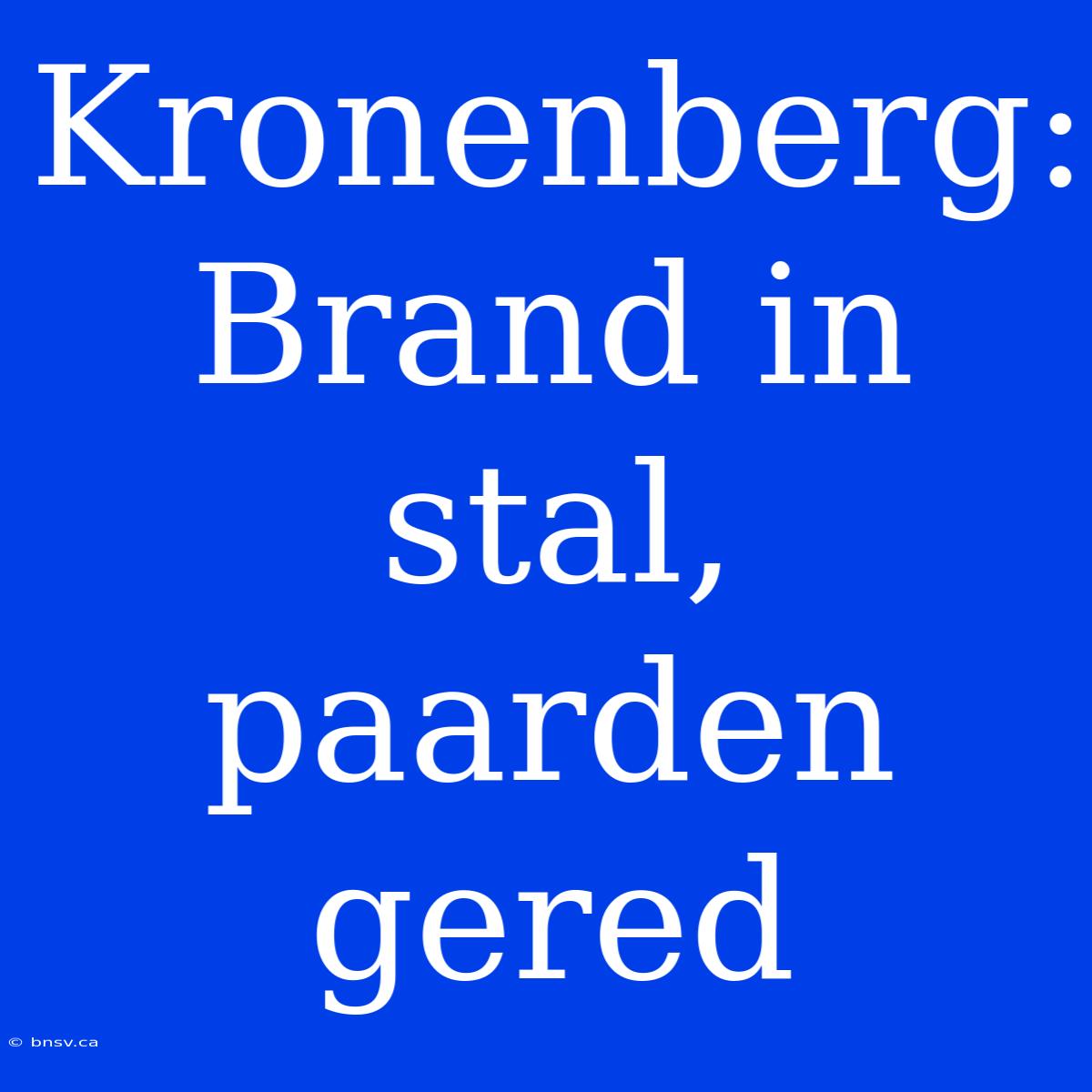 Kronenberg: Brand In Stal, Paarden Gered