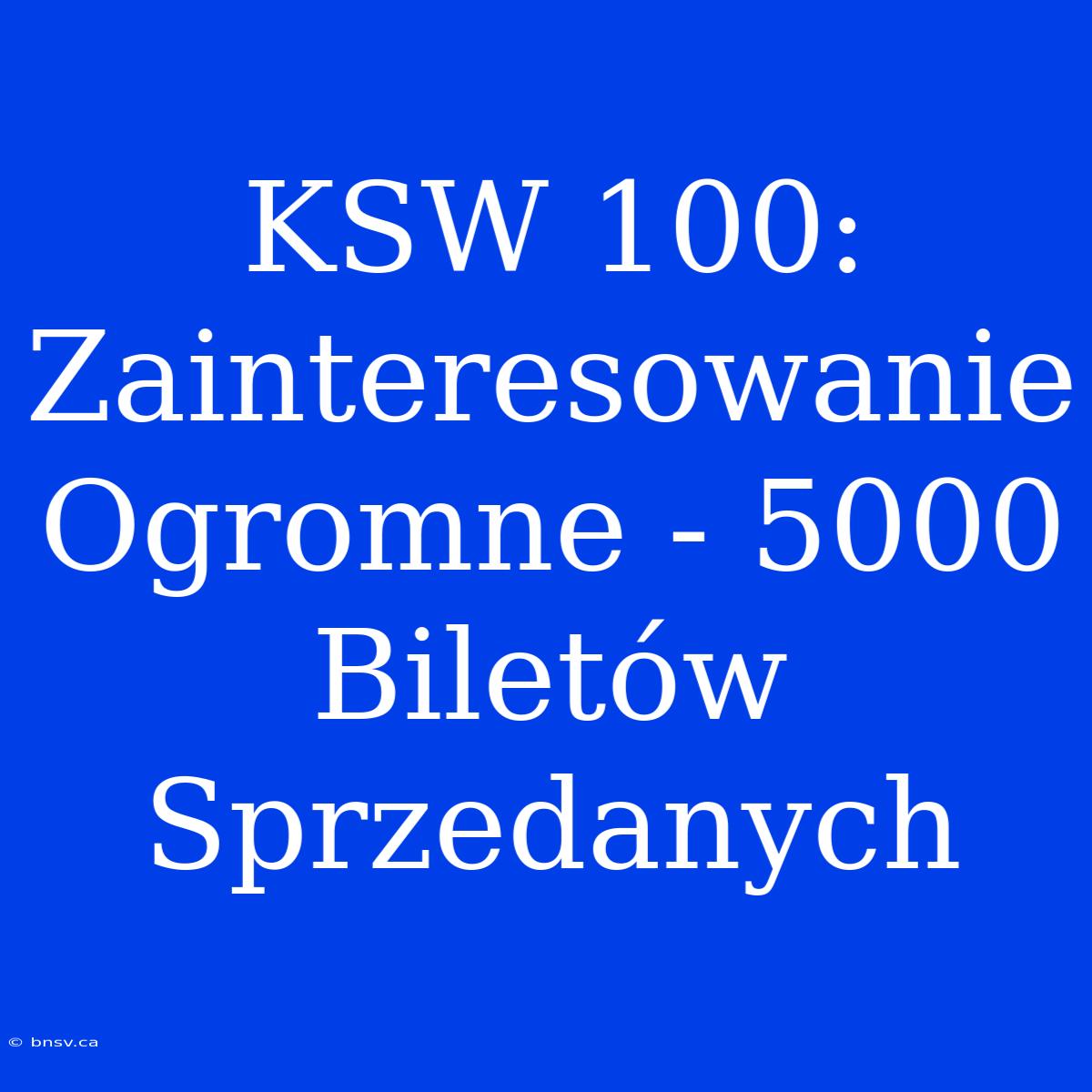 KSW 100: Zainteresowanie Ogromne - 5000 Biletów Sprzedanych