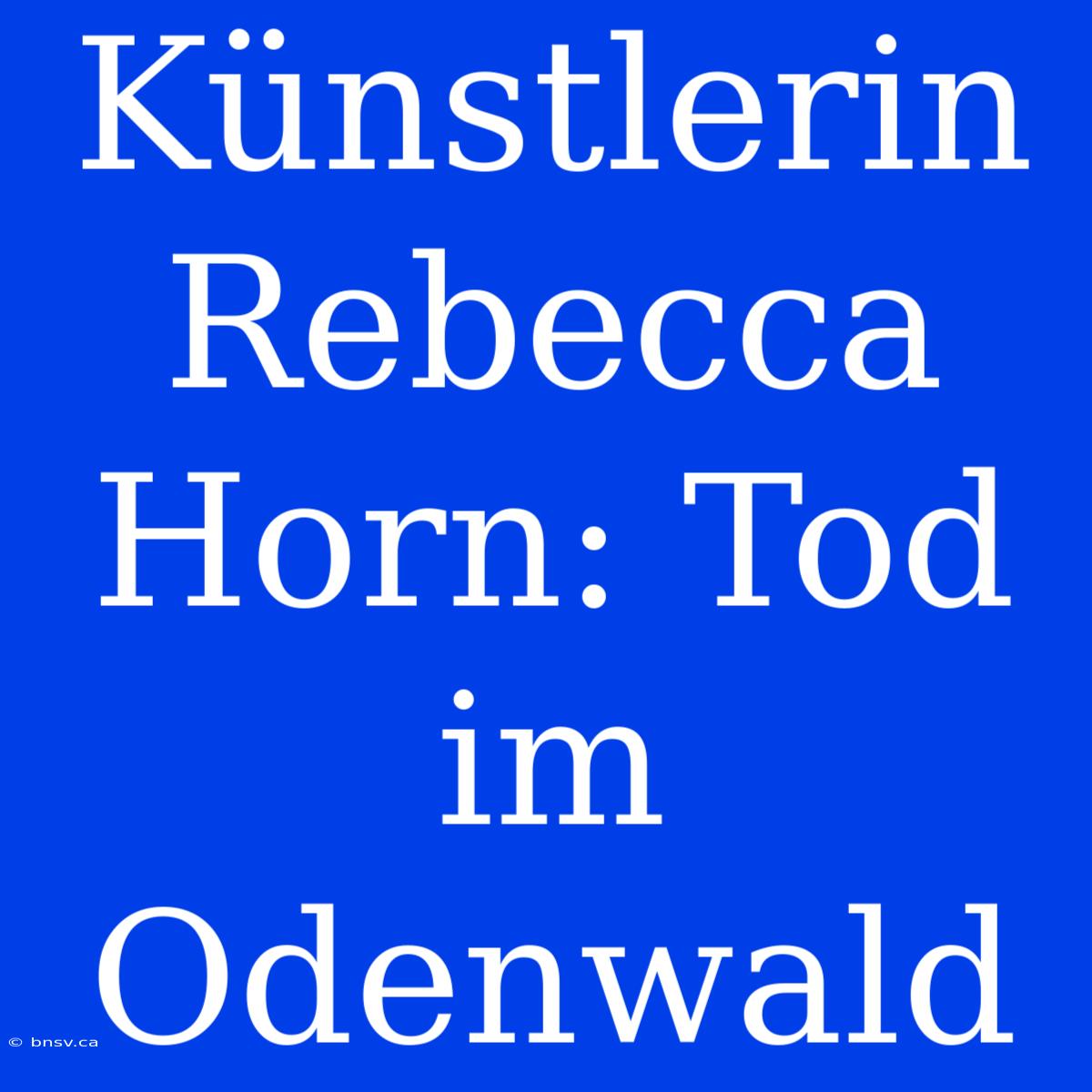 Künstlerin Rebecca Horn: Tod Im Odenwald