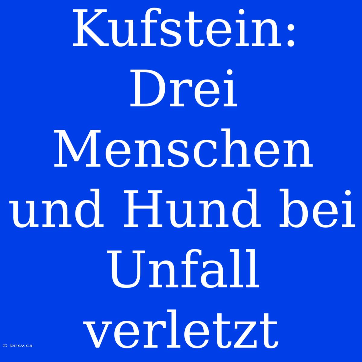 Kufstein: Drei Menschen Und Hund Bei Unfall Verletzt