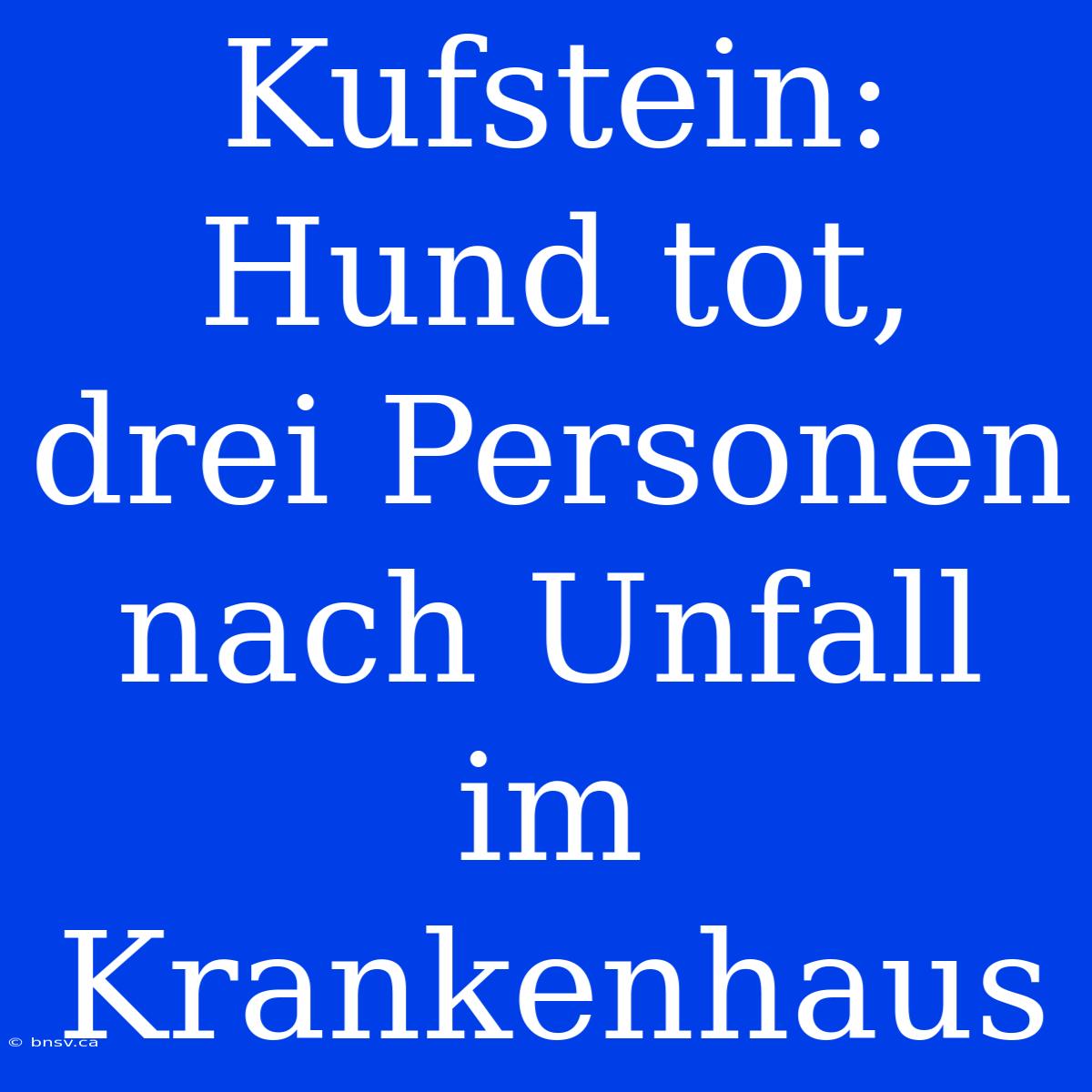 Kufstein: Hund Tot, Drei Personen Nach Unfall Im Krankenhaus