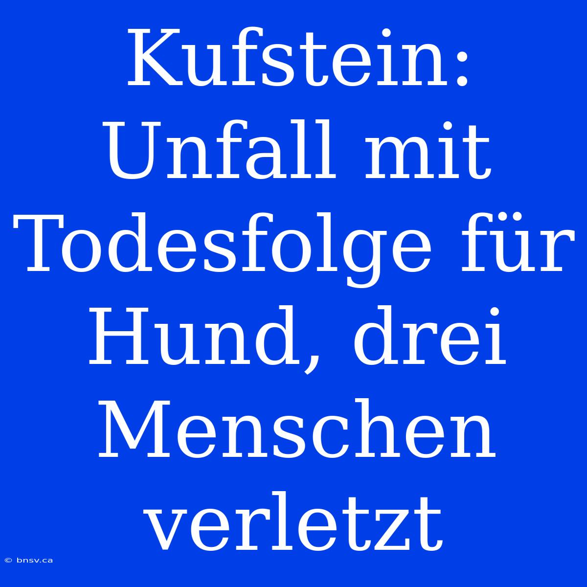 Kufstein: Unfall Mit Todesfolge Für Hund, Drei Menschen Verletzt