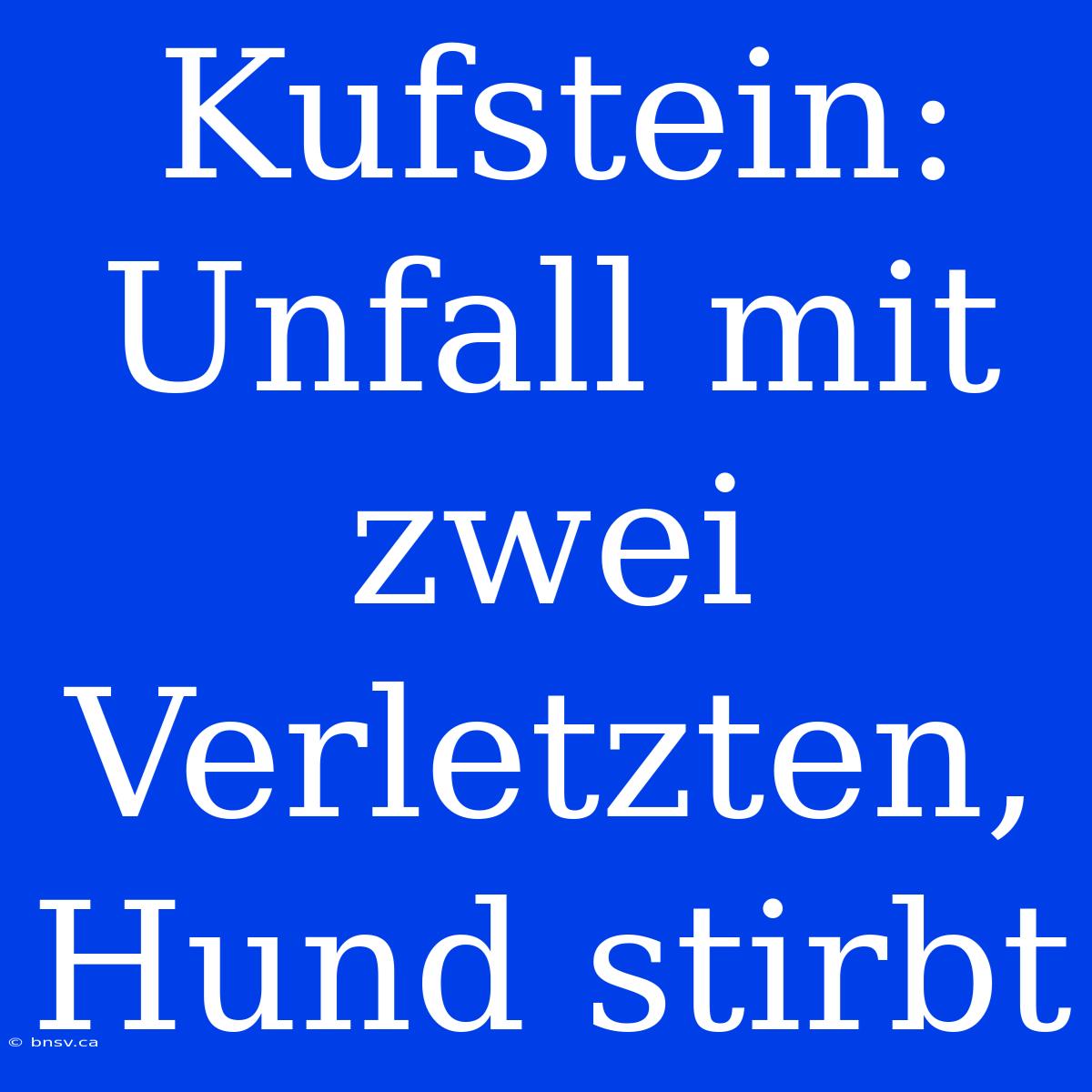 Kufstein: Unfall Mit Zwei Verletzten, Hund Stirbt