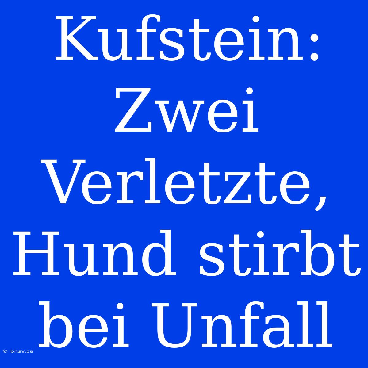 Kufstein: Zwei Verletzte, Hund Stirbt Bei Unfall