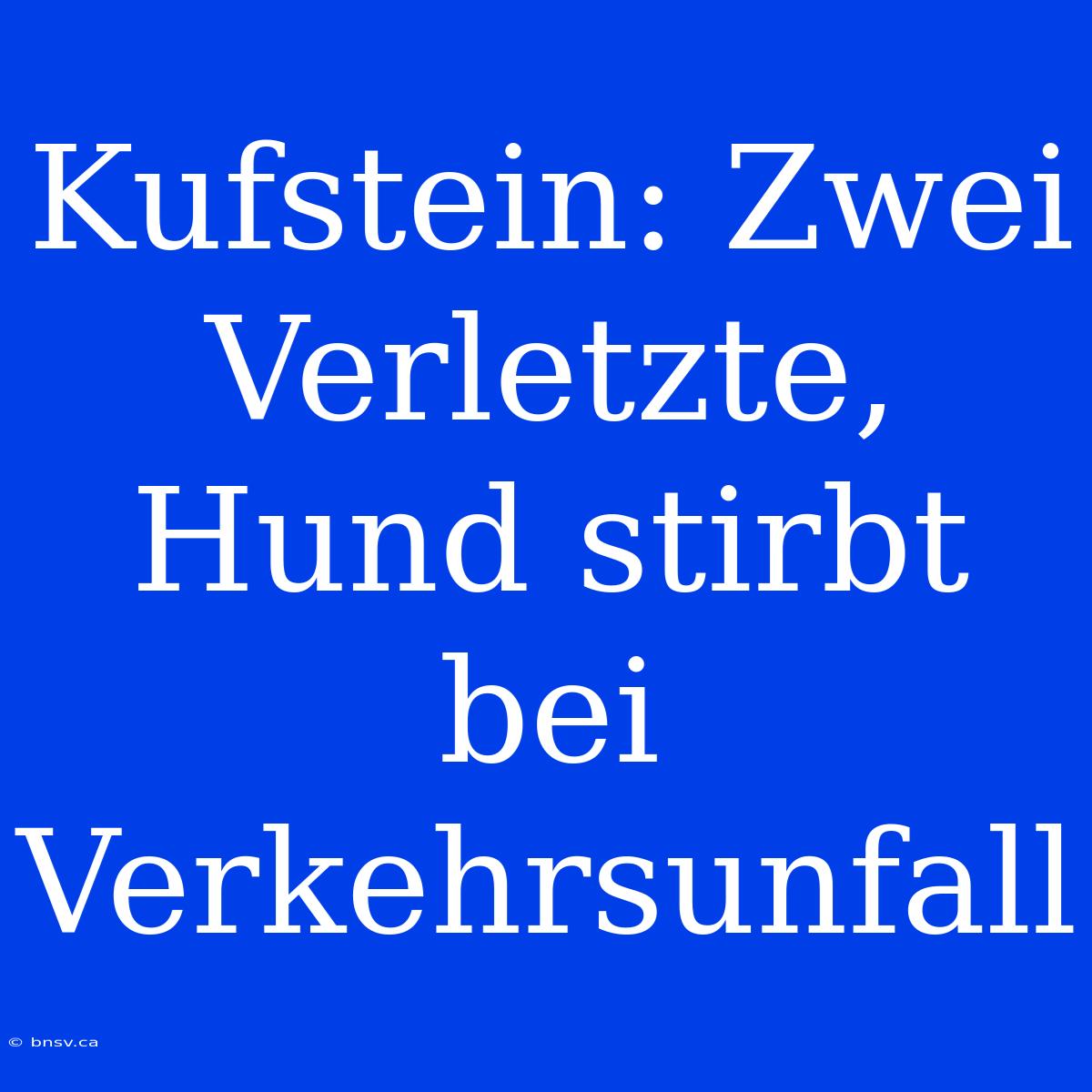 Kufstein: Zwei Verletzte, Hund Stirbt Bei Verkehrsunfall