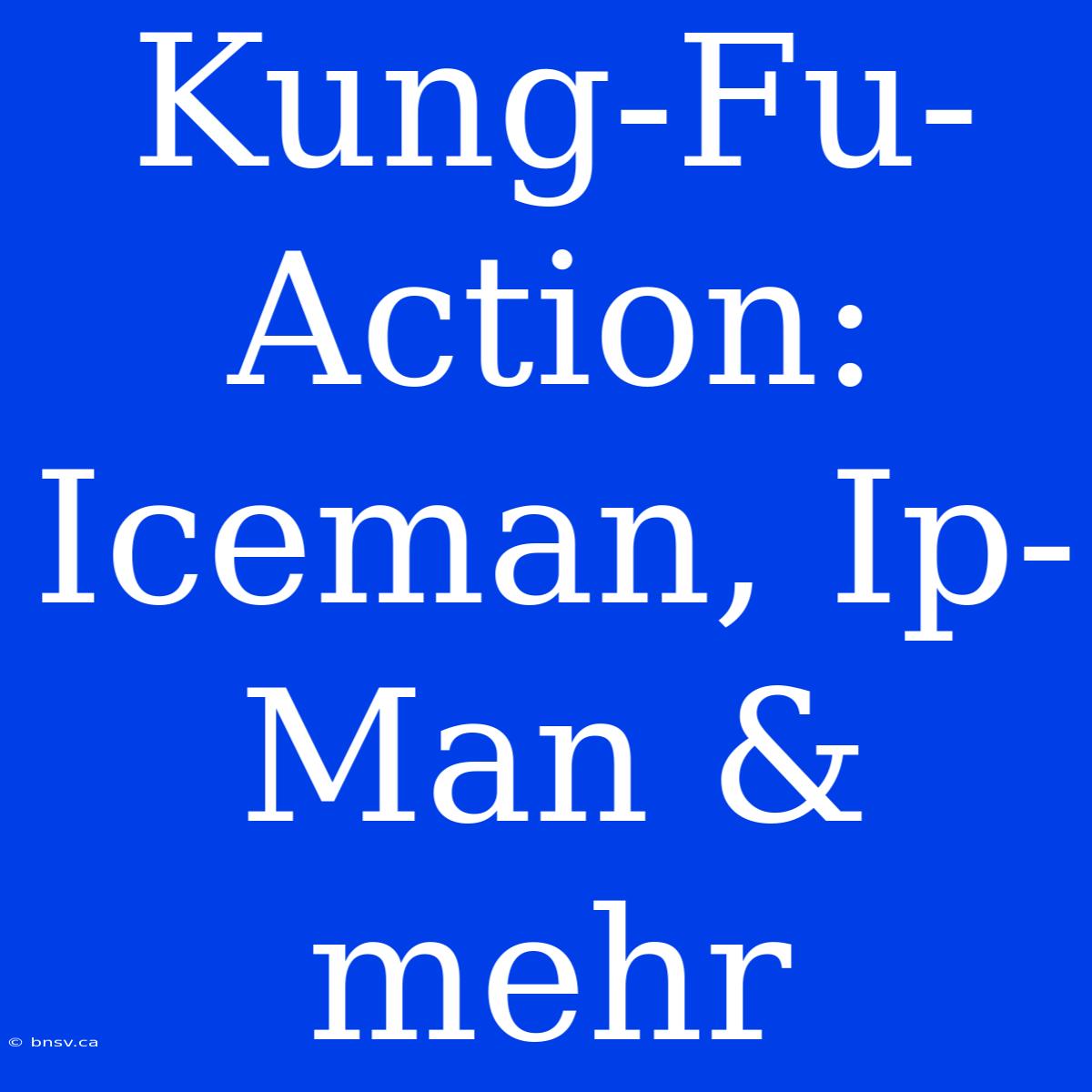 Kung-Fu-Action:  Iceman, Ip-Man &  Mehr