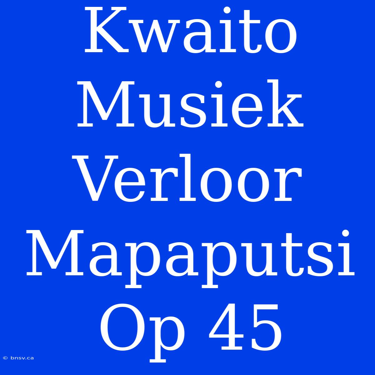 Kwaito Musiek Verloor Mapaputsi Op 45