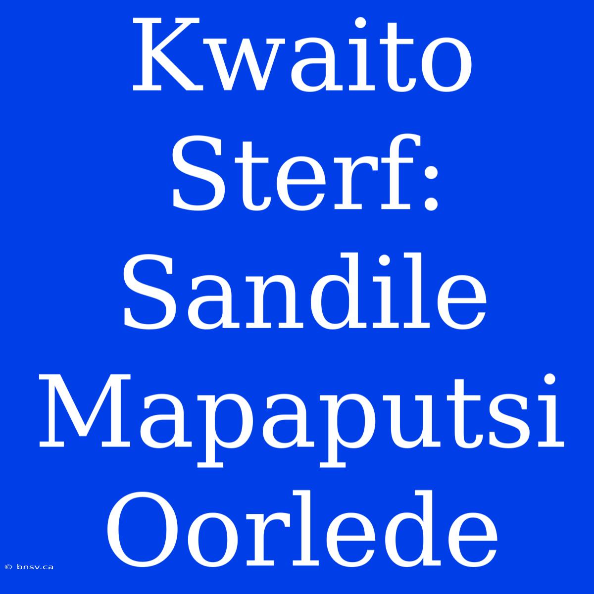 Kwaito Sterf: Sandile Mapaputsi Oorlede