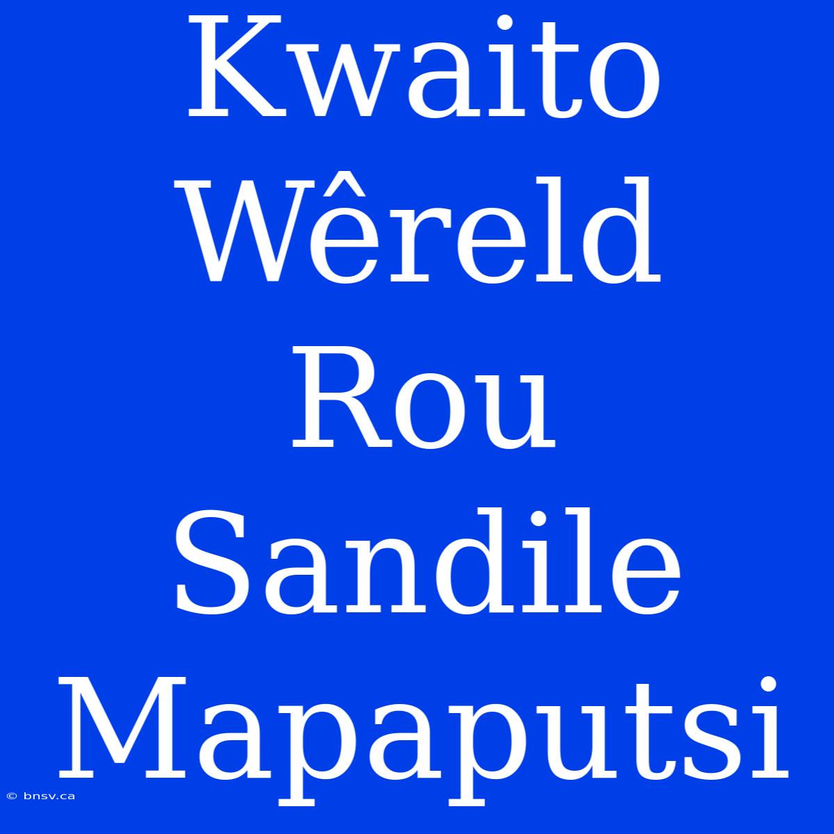 Kwaito Wêreld Rou Sandile Mapaputsi