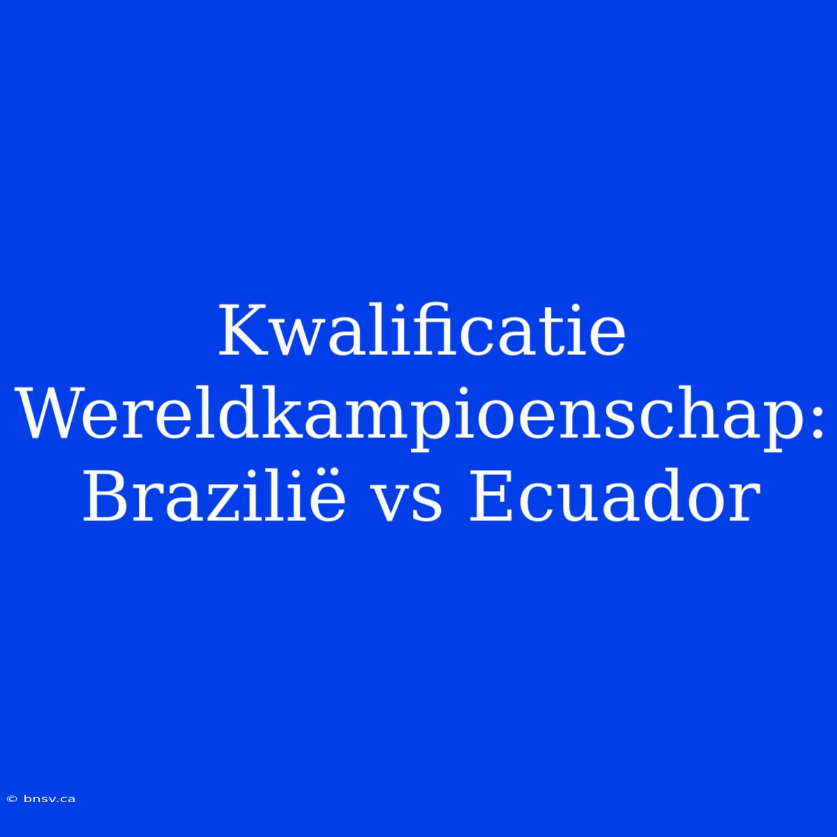 Kwalificatie Wereldkampioenschap: Brazilië Vs Ecuador