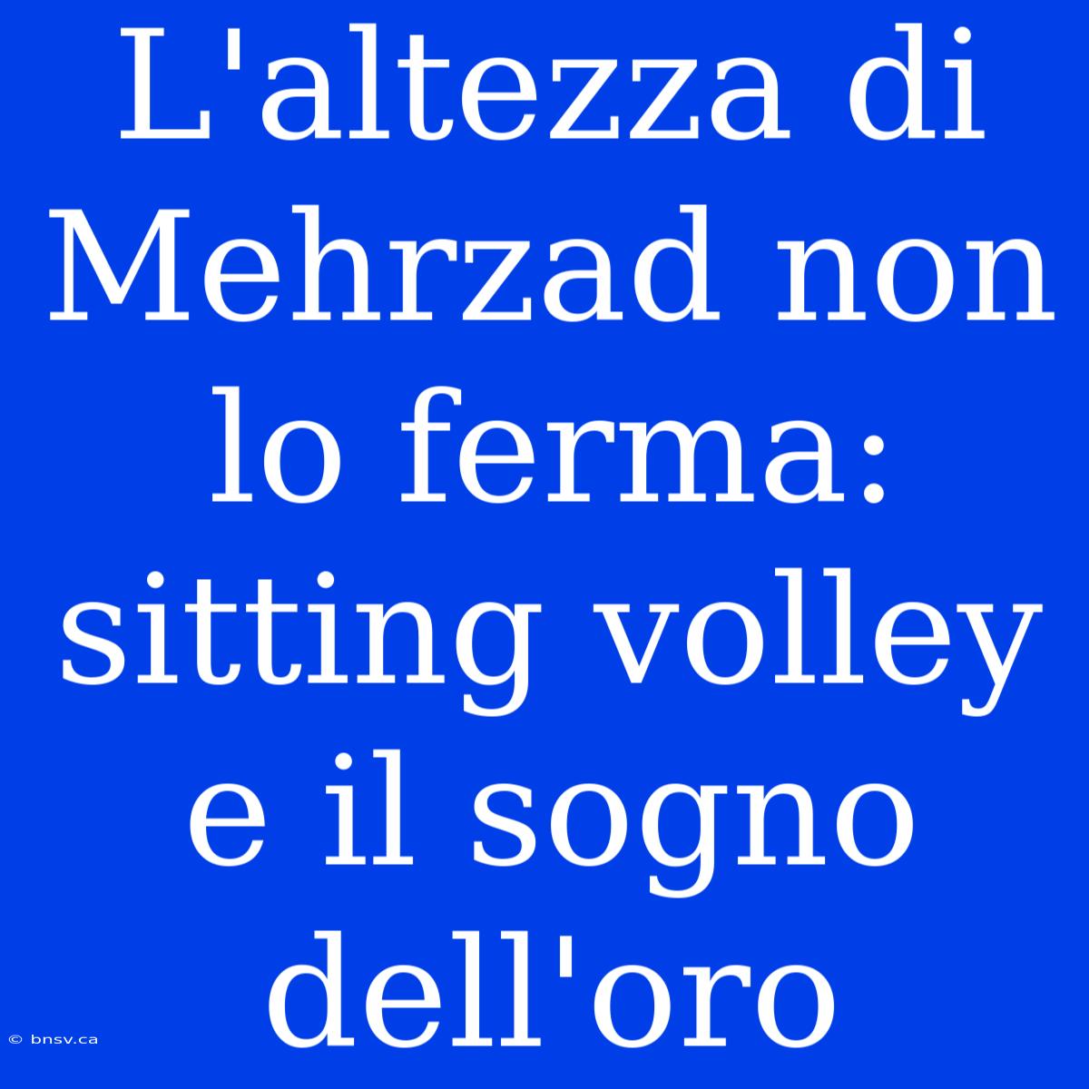 L'altezza Di Mehrzad Non Lo Ferma: Sitting Volley E Il Sogno Dell'oro