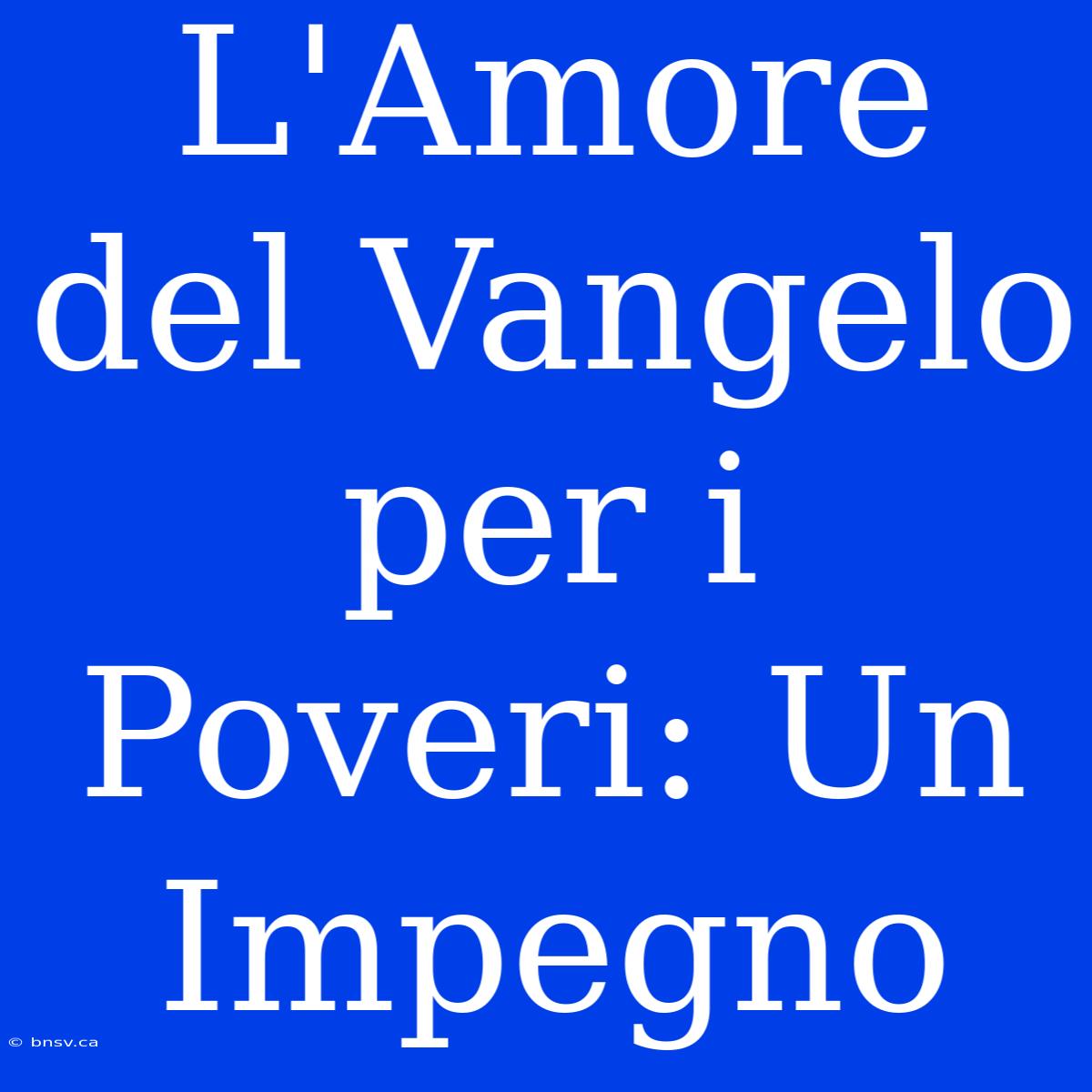 L'Amore Del Vangelo Per I Poveri: Un Impegno