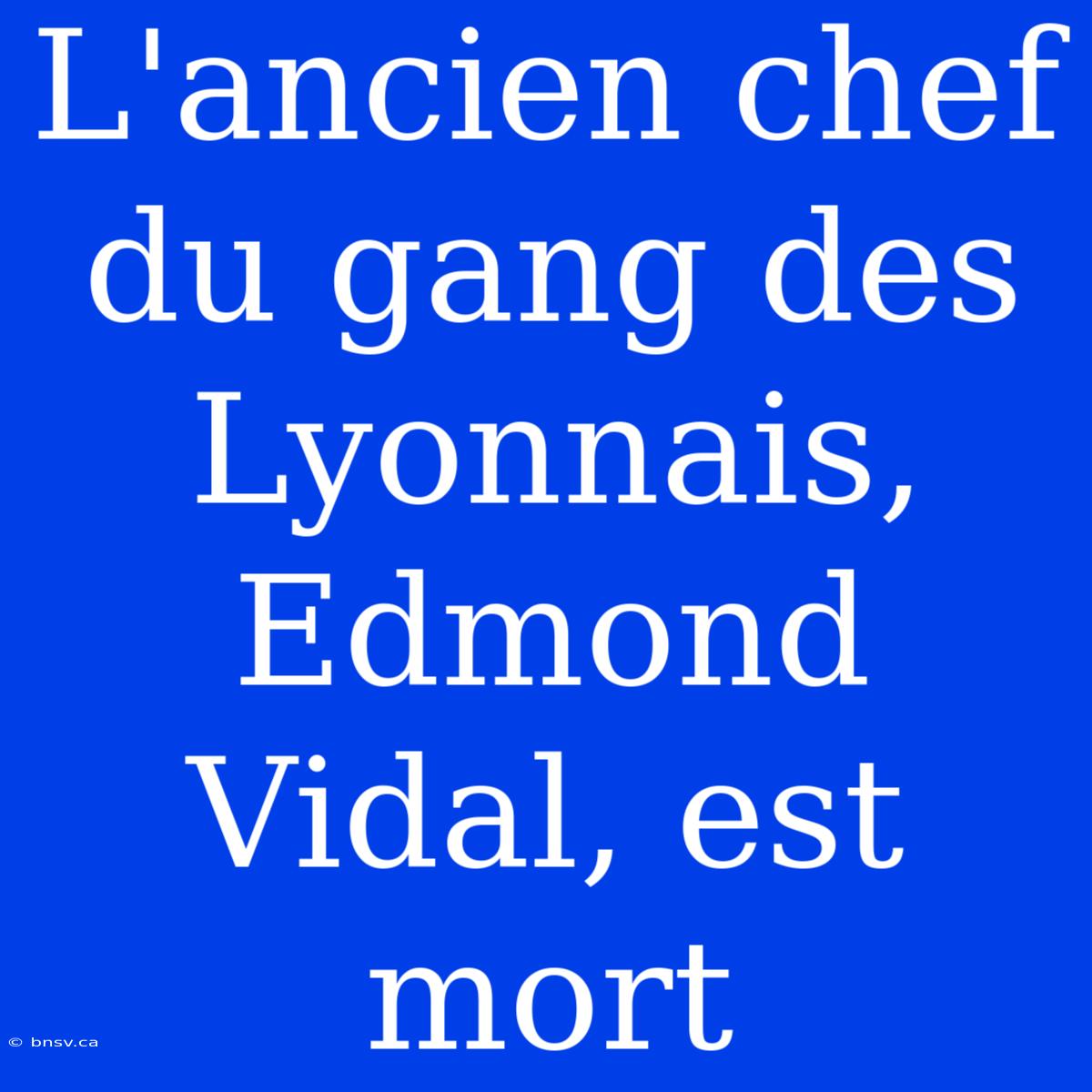 L'ancien Chef Du Gang Des Lyonnais, Edmond Vidal, Est Mort