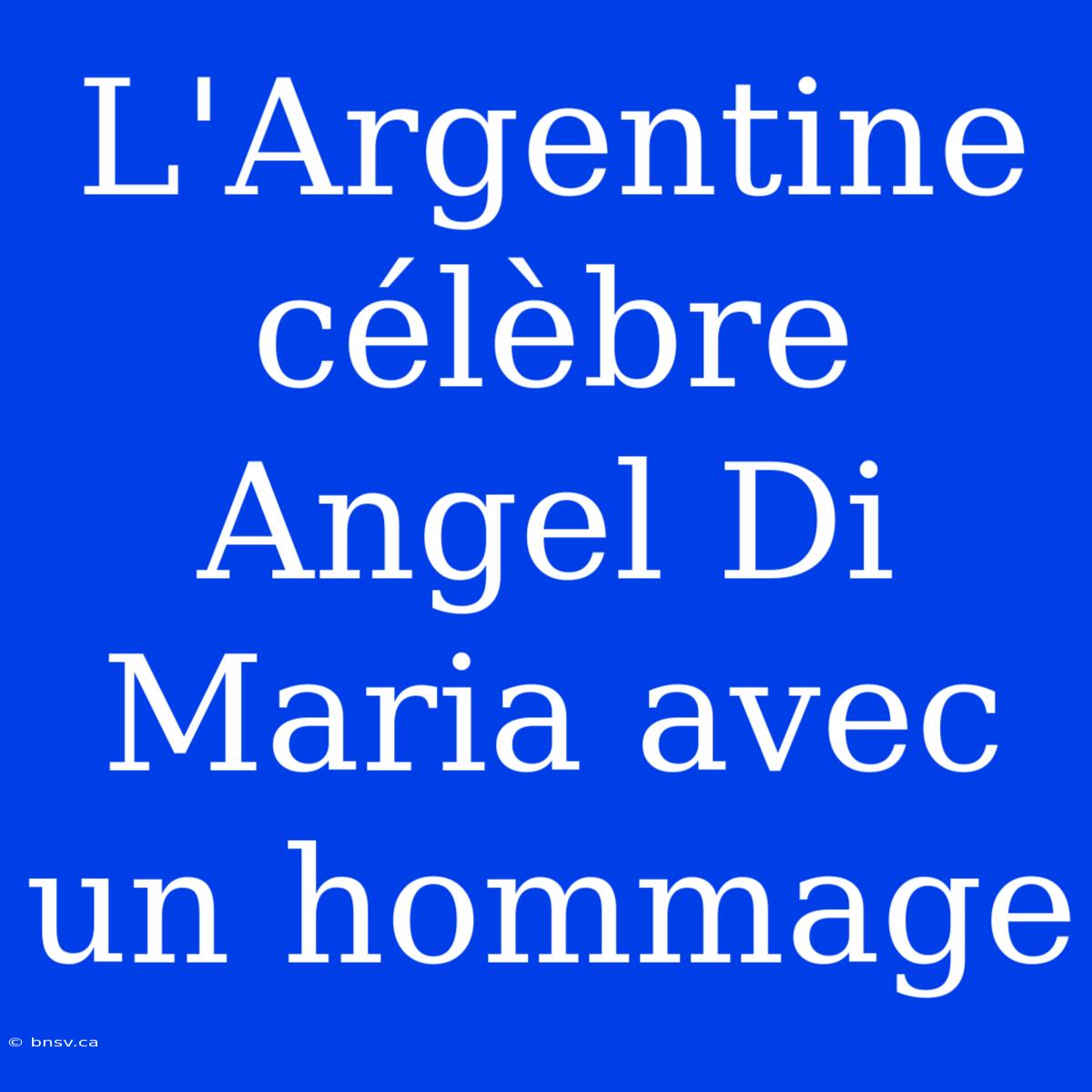 L'Argentine Célèbre Angel Di Maria Avec Un Hommage