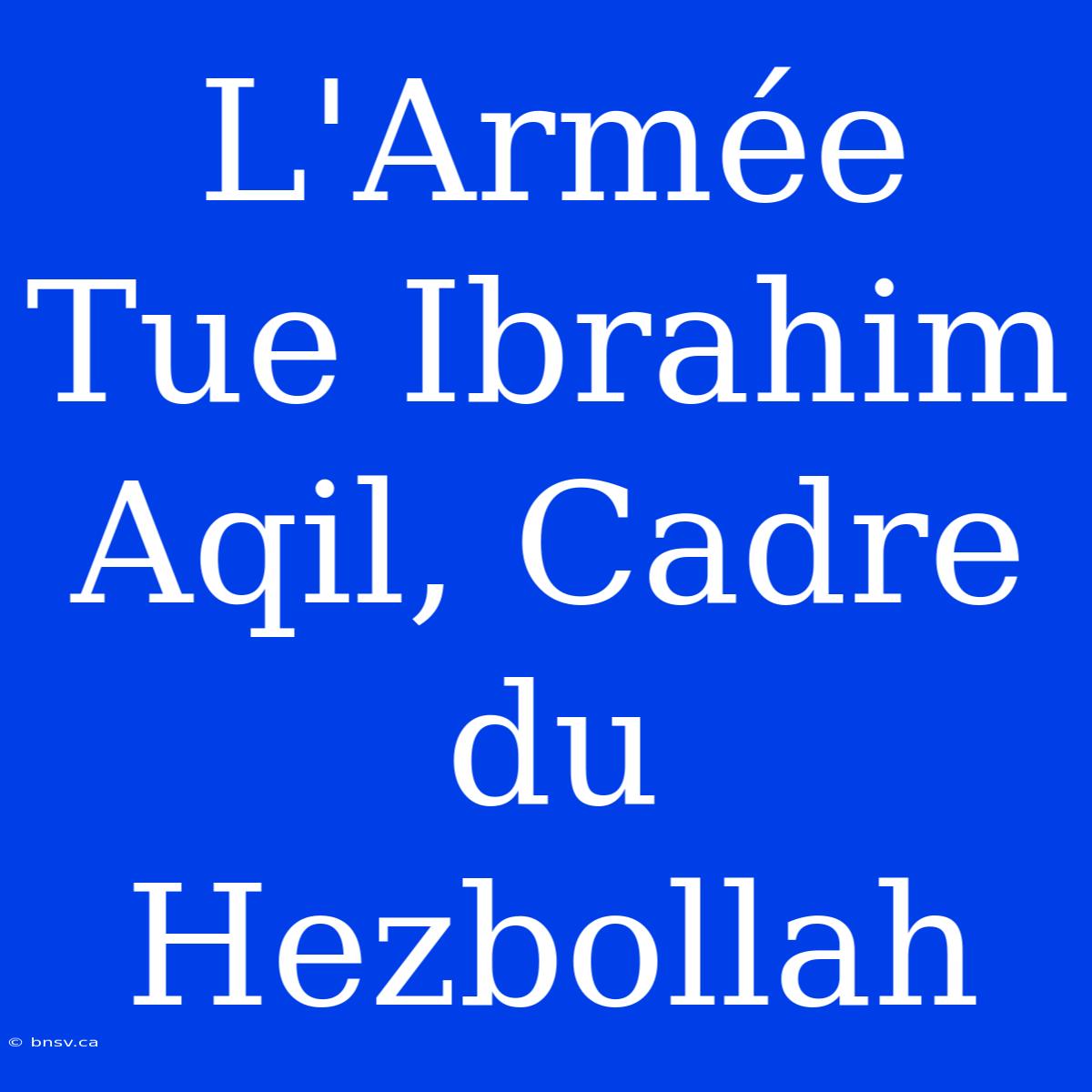 L'Armée Tue Ibrahim Aqil, Cadre Du Hezbollah